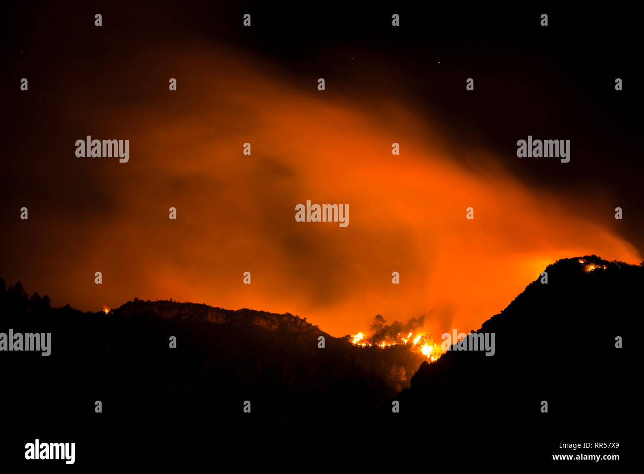 Wild forrest incendio presso Barxeta, Valencia, Comunidad Valenciana, Spagna, Europa Foto Stock