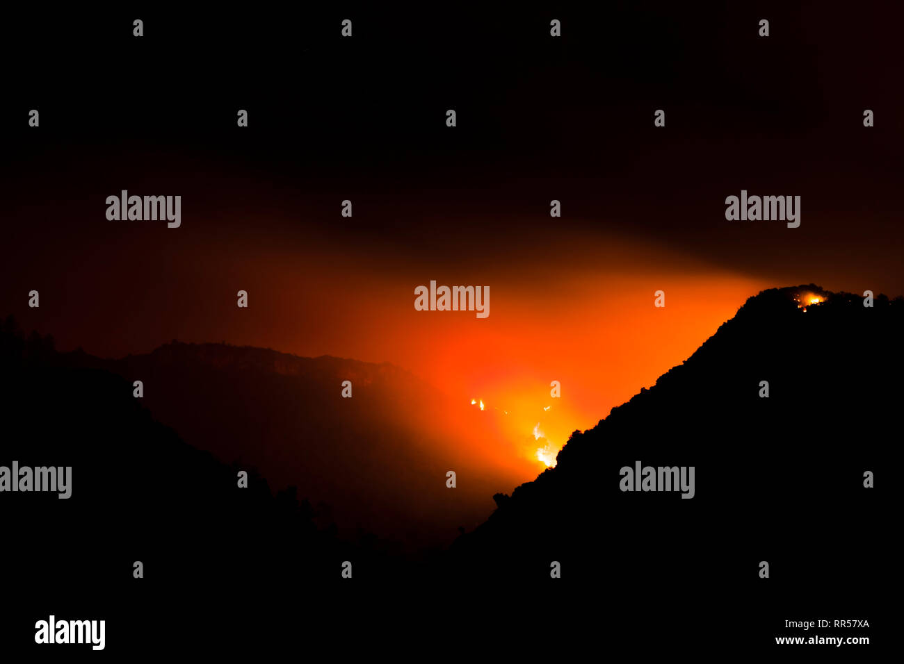 Wild forrest incendio presso Barxeta, Valencia, Comunidad Valenciana, Spagna, Europa Foto Stock