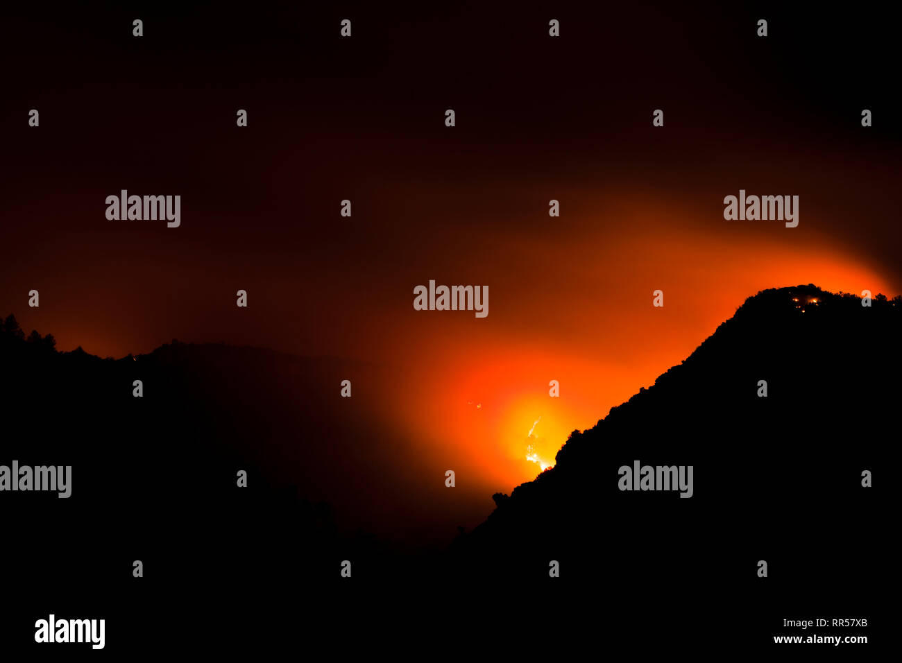 Wild forrest incendio presso Barxeta, Valencia, Comunidad Valenciana, Spagna, Europa Foto Stock