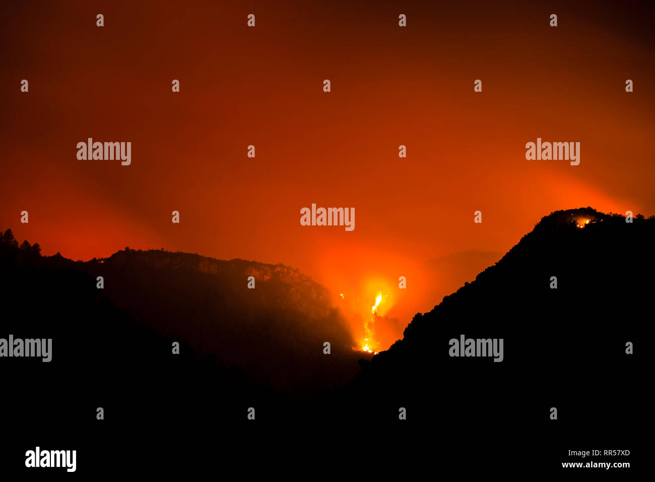 Wild forrest incendio presso Barxeta, Valencia, Comunidad Valenciana, Spagna, Europa Foto Stock