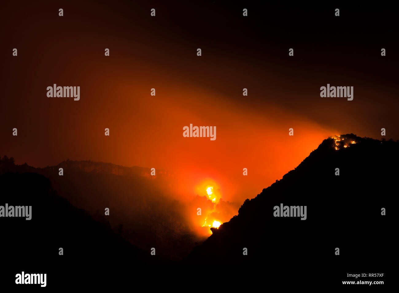 Wild forrest incendio presso Barxeta, Valencia, Comunidad Valenciana, Spagna, Europa Foto Stock