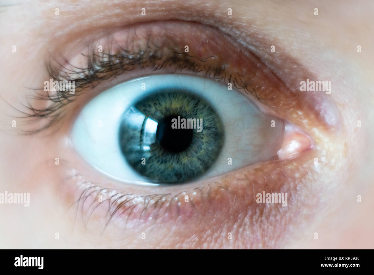 Close-up sul verde maschio wide open occhio. Foto Stock