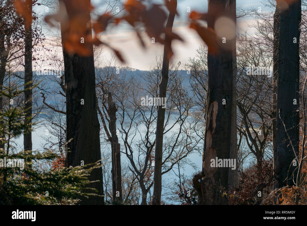 Ampia vista aperta sul fiume che scorre da foresta Foto Stock