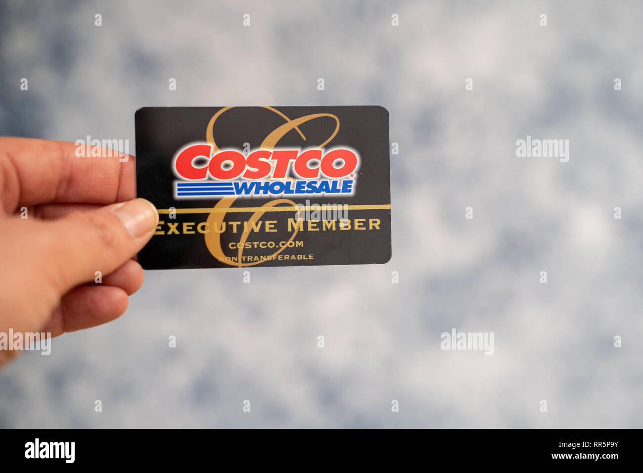 Feb 24, 2019 - Maple Grove, MN: mano tenendo un Costco Wholesale Executive Membership card, isolata. Foto Stock