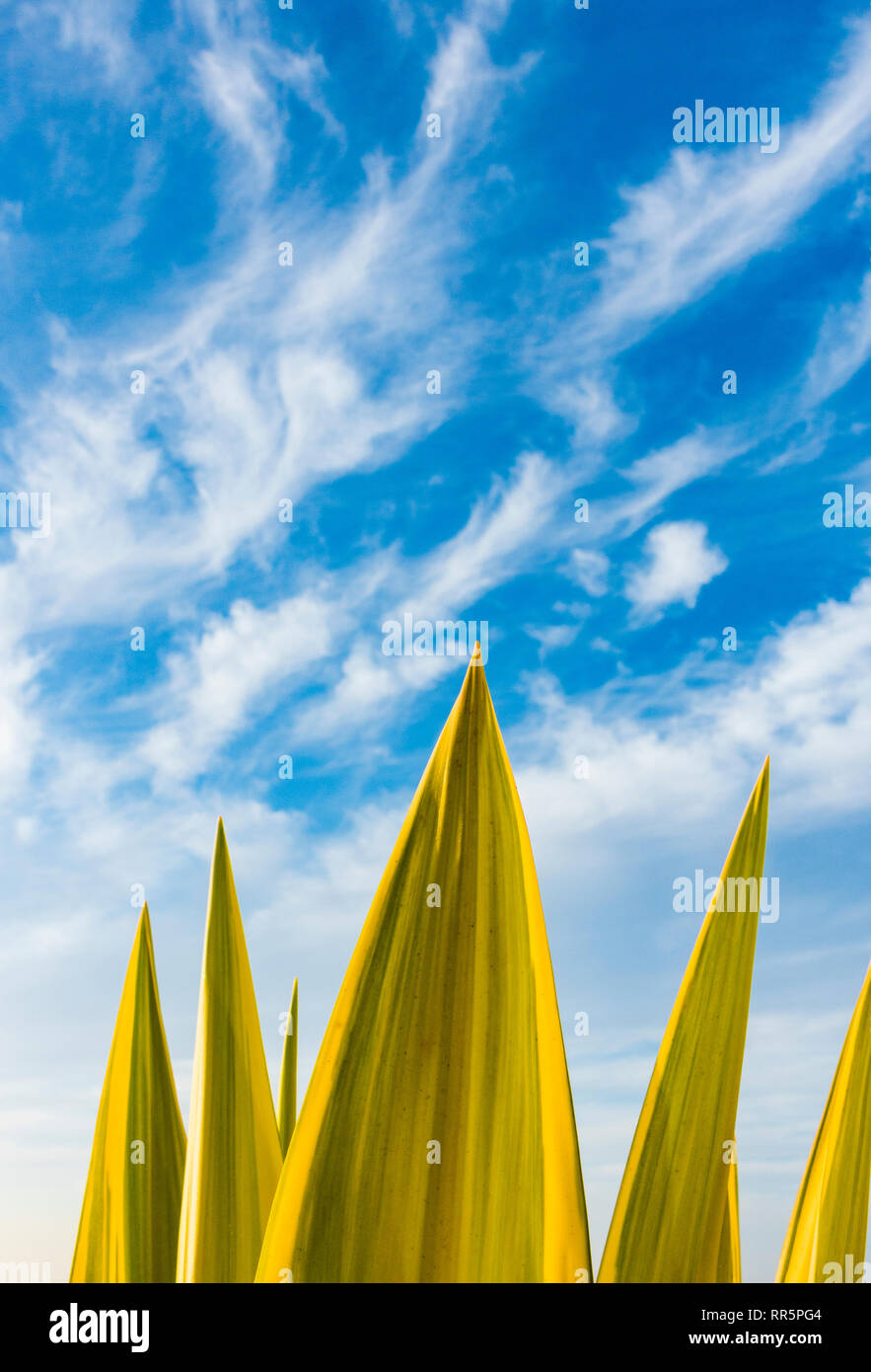 Impianto di cactus contro il cielo blu Foto Stock