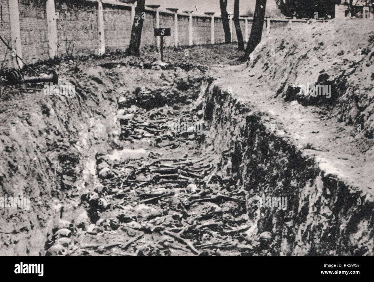 I soldati sovietici tomba di massa, tedesco dei prigionieri di guerra del campo di concentramento in Deblin, Tedesco-Polonia occupata Foto Stock