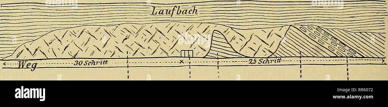 . Abhandlungen zur geologischen Specialkarte von Preussen und den Thüringischen Staaten. 122 Geognostische Skizze der Gegend von Baden Baden, förmiges Auftreten von Biotitgranit im Gneiss Laufbach im Ober- mezza der Einmündung des Lautenbächle am Aufgang des Weges zum Hässlich zu beobachten, wo in der nachstehenden Weise Ansicht von oben. sw. mi- Weg ?30 Schritt. porphyr- Treppe. Gneiss. Gneiss. porphyr- artiger Granitit. NO. artiger Gneiss. Contatto porphyrartigem zwischen Granitit und Gneiss Laufbach im oberhalb der Mündung des Lautenbächle. • Die nach WNW mit etwa 40° einfallenden Lagen von Gn Foto Stock