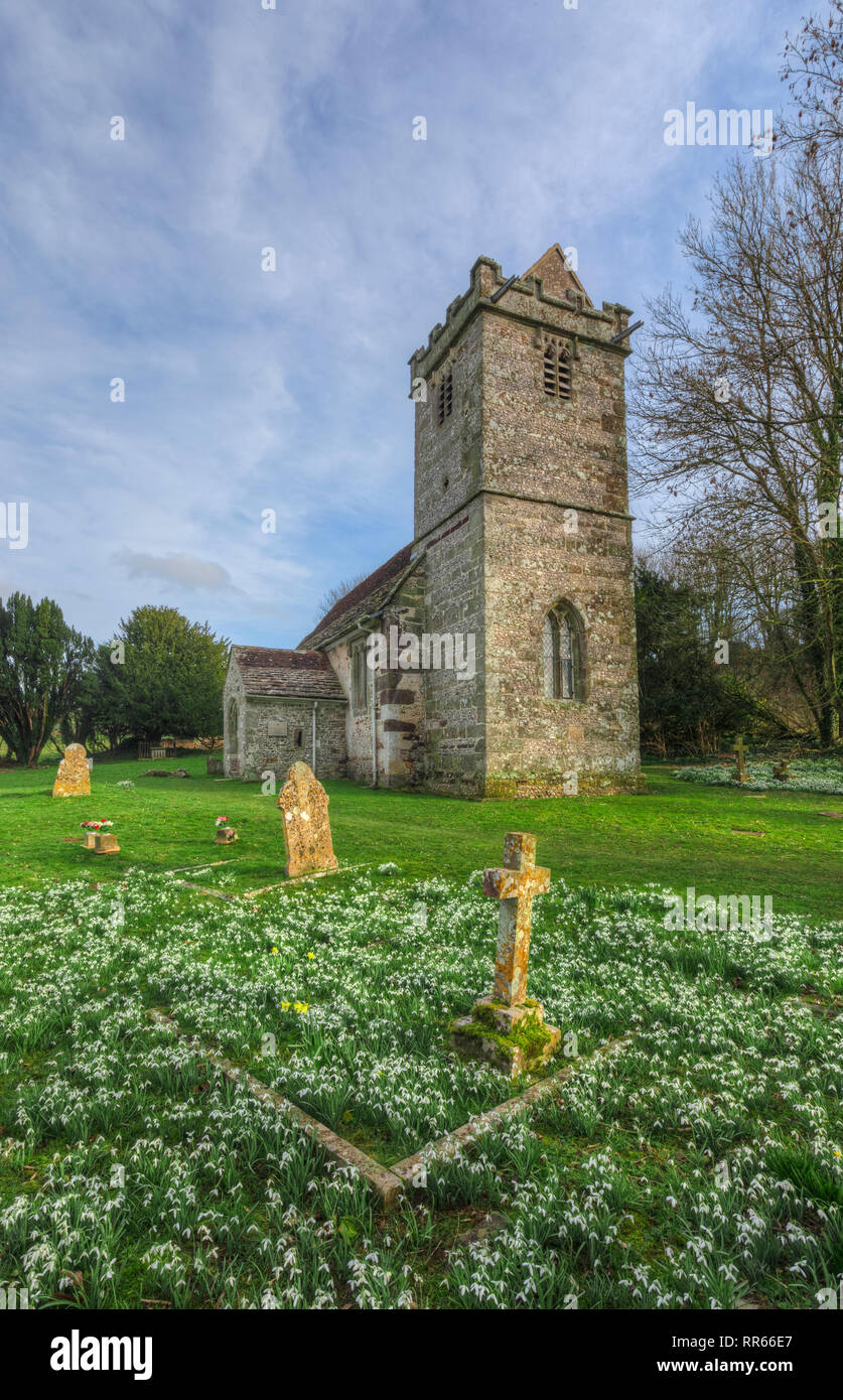 Tarrant Crawford, Santa Maria Vergine, Dorset, England, Regno Unito Foto Stock