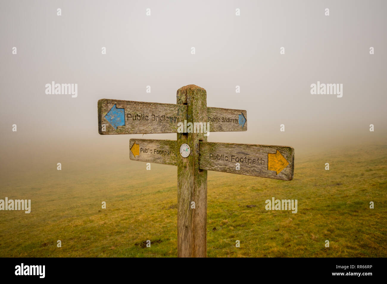 Levin giù, Singleton, West Sussex, Regno Unito Foto Stock