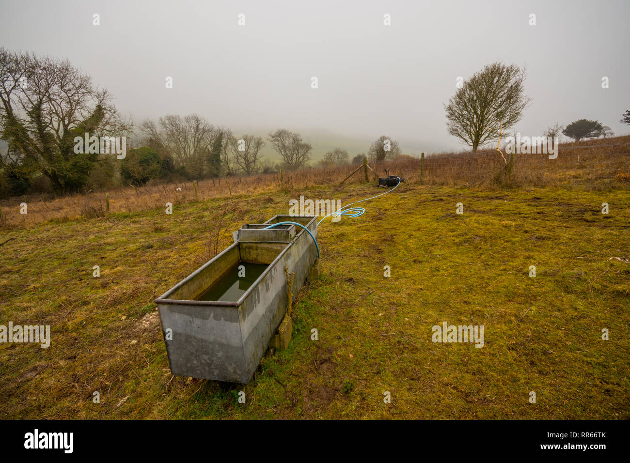 Levin giù, Singleton, West Sussex, Regno Unito Foto Stock