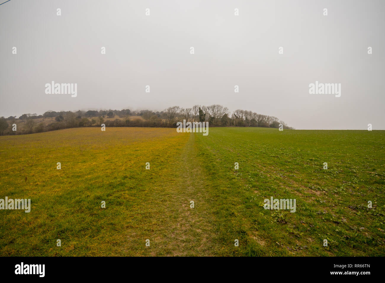 Levin giù, Singleton, West Sussex, Regno Unito Foto Stock