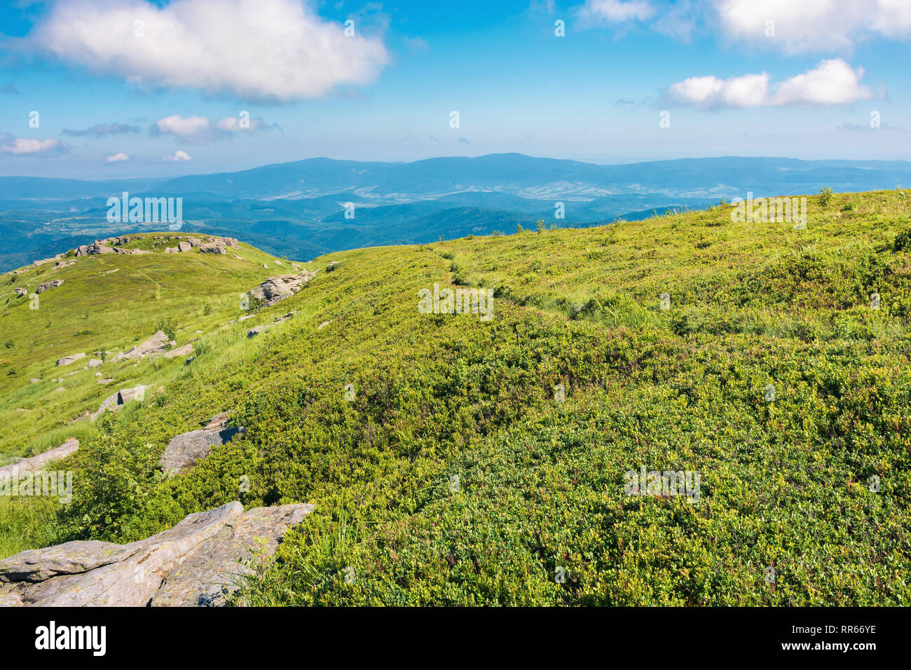 Meraviglioso scenario soleggiato in montagna. erboso prato alpino con alcune formazioni di roccia cresta distanti sotto un cielo blu con nuvole soffici. bella c Foto Stock