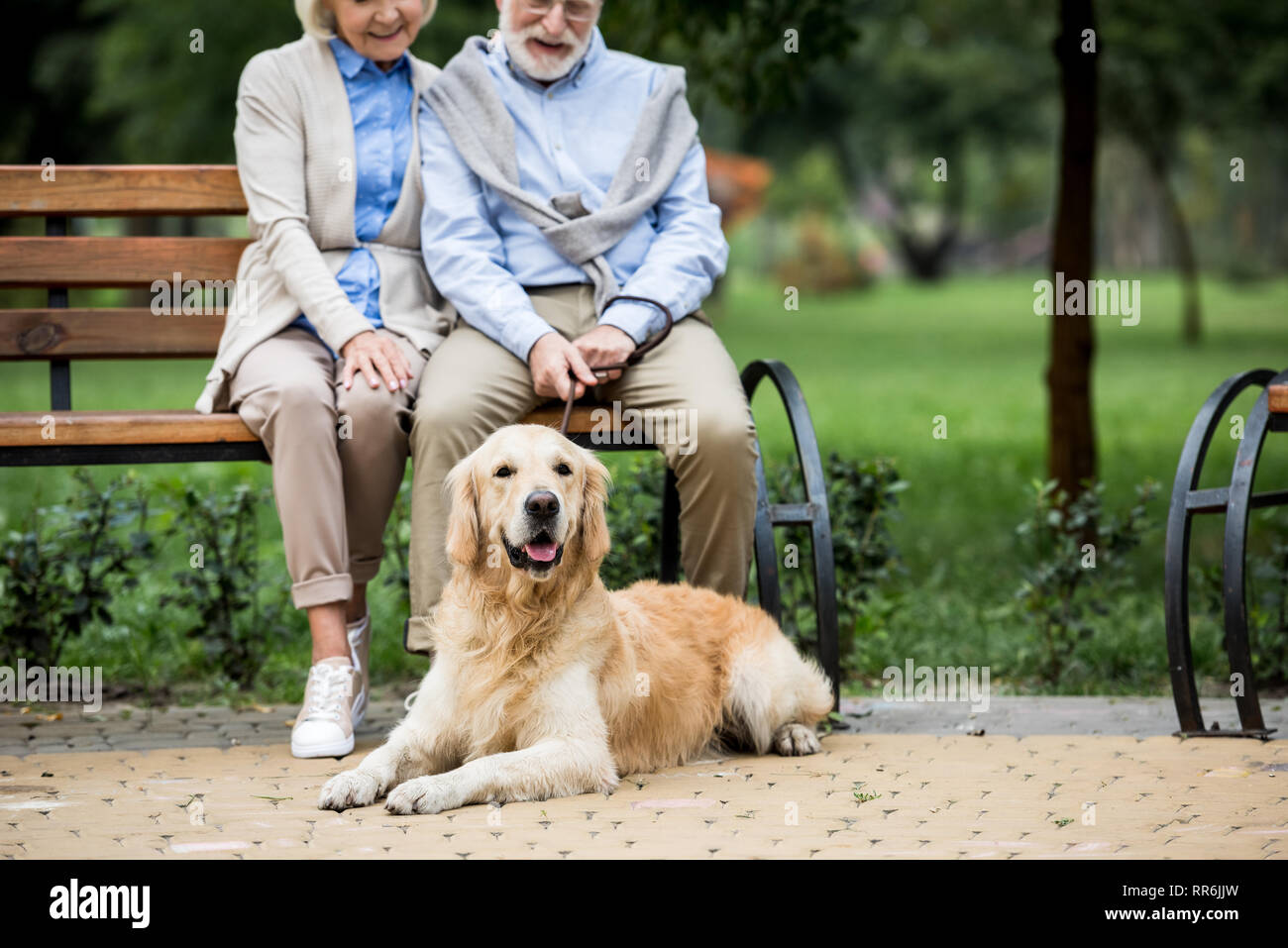 Cute cane sdraiato sul marciapiede lastricato vicino sorridente coppia senior seduta sul banco di legno Foto Stock