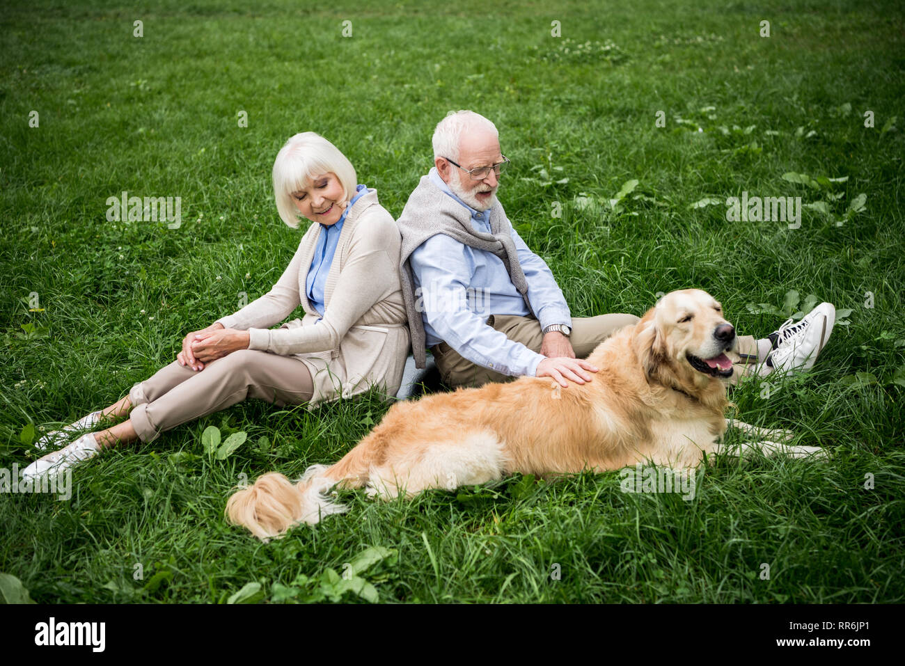 Coppia senior con il golden retriever cane in appoggio sul prato verde Foto Stock