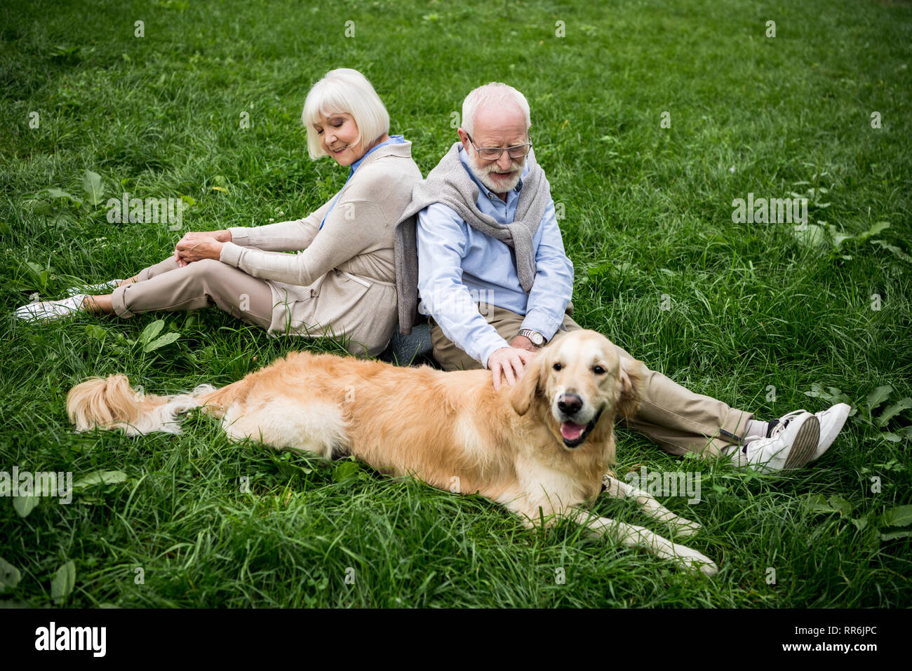 Felice coppia senior con adorabili golden retriever dog sitter su prato verde Foto Stock