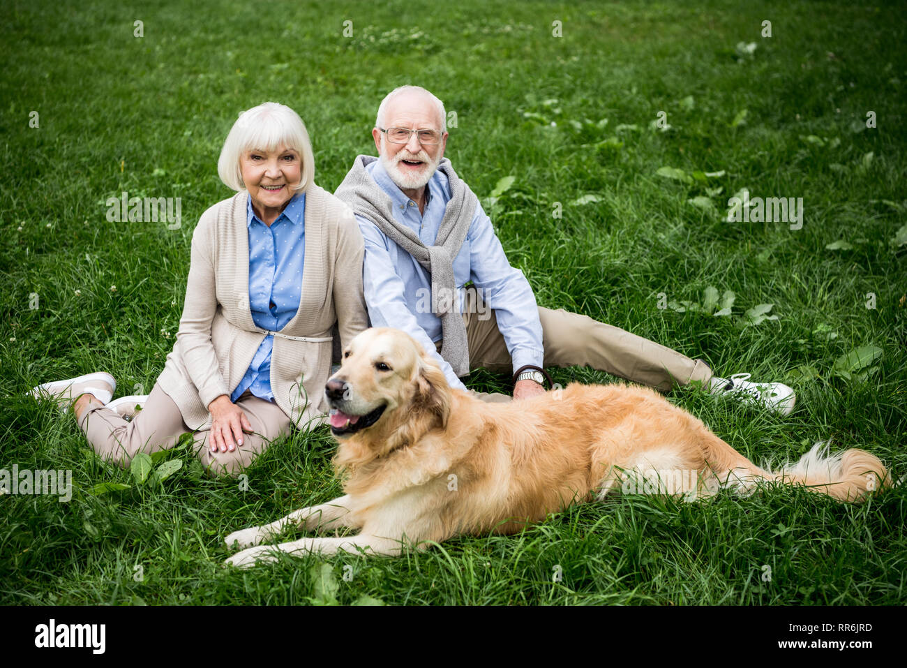 Felice coppia senior con adorabili golden retriever dog sitter su prato verde Foto Stock