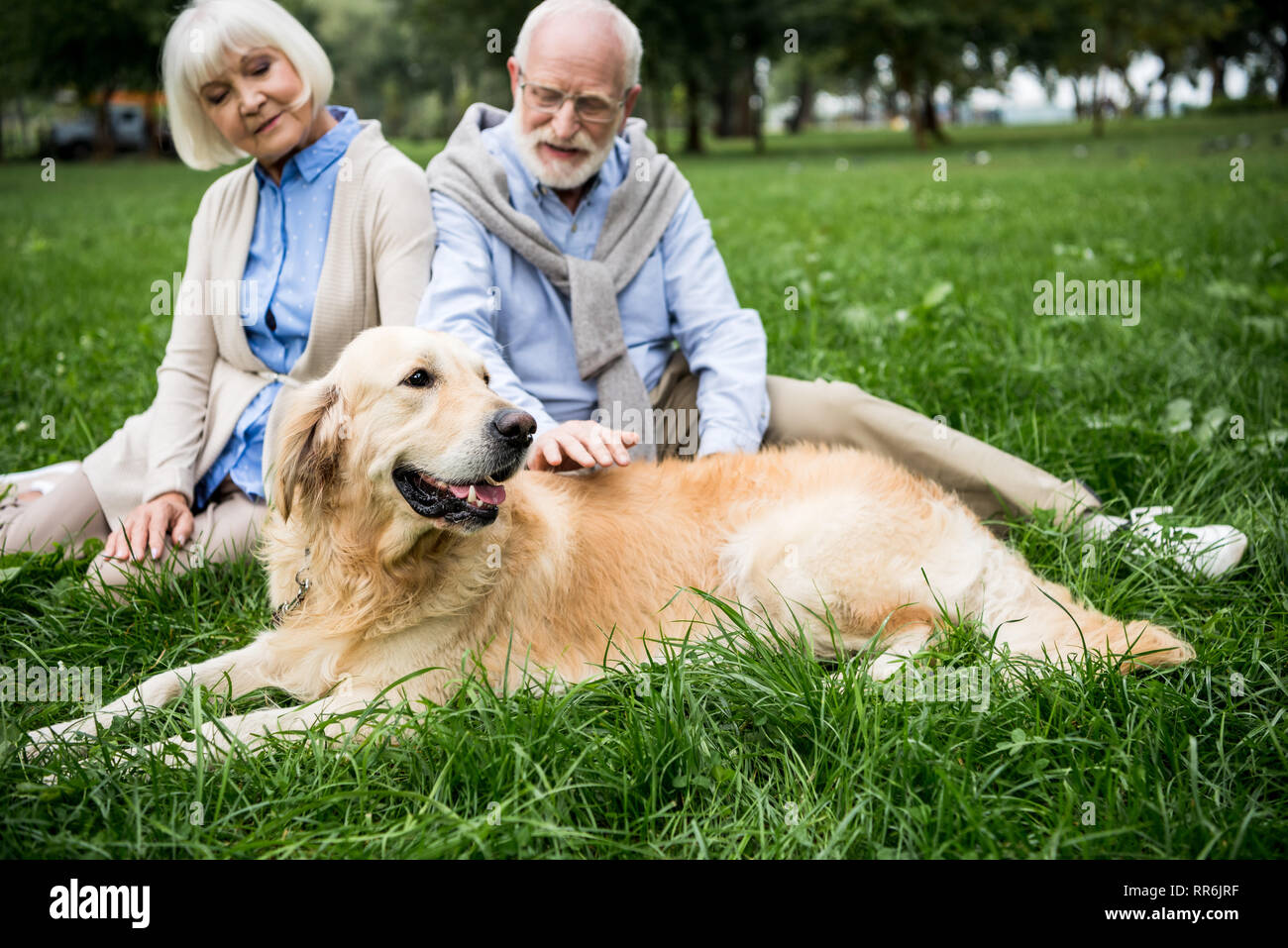 Felice coppia senior con divertenti golden retriever cane in appoggio sul prato verde Foto Stock