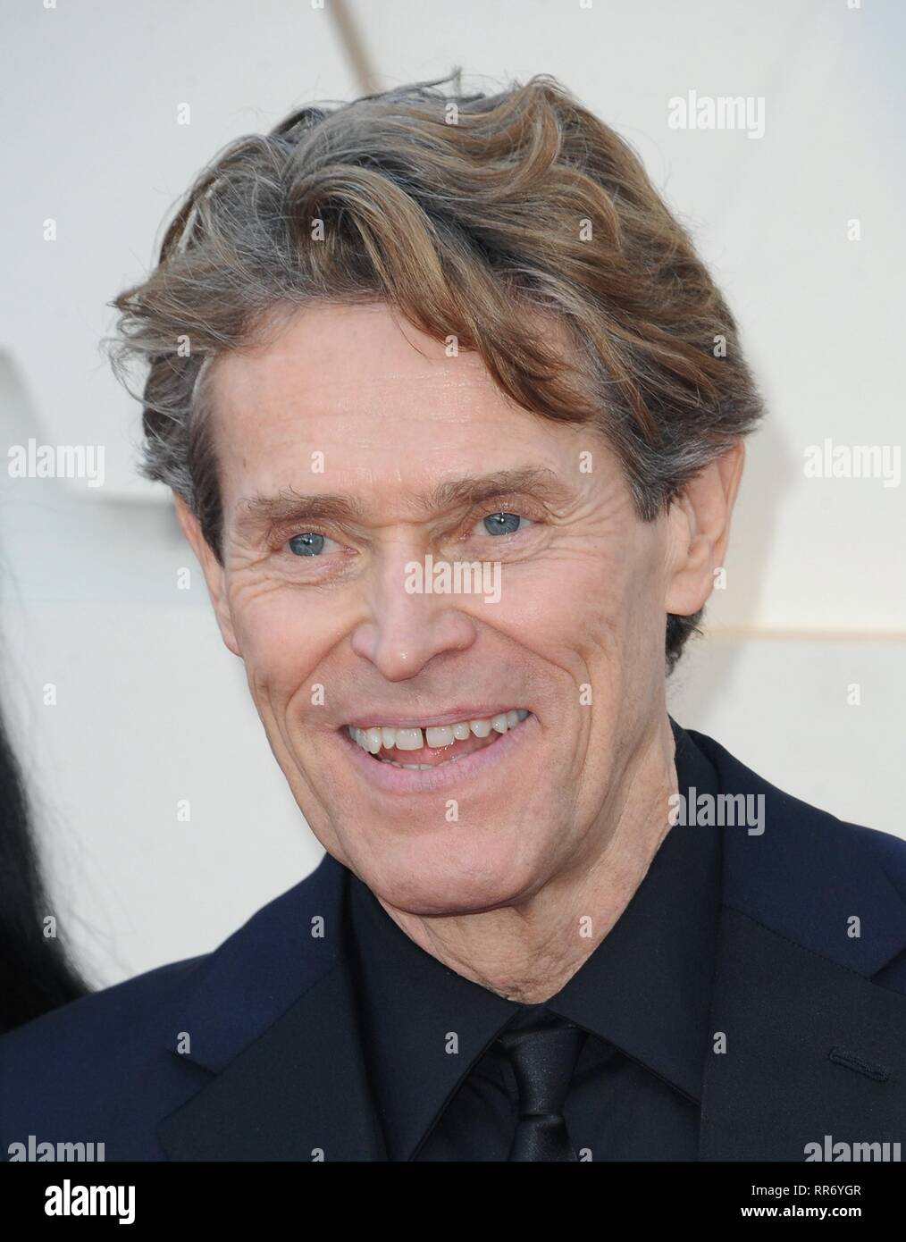 Los Angeles, CA, Stati Uniti d'America. 24 Febbraio, 2019. Giada Colagrande e Willem Dafoe presso gli arrivi per il 91Academy Awards - Arrivi 1, Dolby Theatre a Hollywood e Highland Center, Los Angeles, CA. 24 febbraio 2019. Credito: Elizabeth Goodenough/Everett raccolta/Alamy Live News Foto Stock