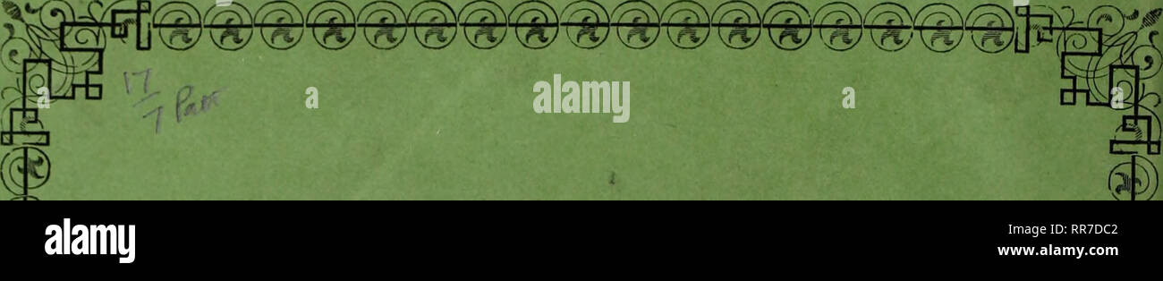 . Abhandlungen der Königlich Bayerische Akademie der Wissenschaften. . ((:^ f3ö Inhalt. (5è) Resultate photometrischer Messungen un zweihundert und acht der vorzüglichsten Fixsterne. Ludwig von Seidel. Mit einer Tafel. ^ " ÄTonographie der fossilen Fi?che aus den lithographischen Schiefern Bayerns. Von Dr. R. Wagner. Zweite Abtheilung. Mit sechs Tafeln. ;Ii C^t) ^5). Si prega di notare che queste immagini vengono estratte dalla pagina sottoposta a scansione di immagini che possono essere state migliorate digitalmente per la leggibilità - Colorazione e aspetto di queste illustrazioni potrebbero non perfettamente assomigliano al lavoro originale. Kö Foto Stock