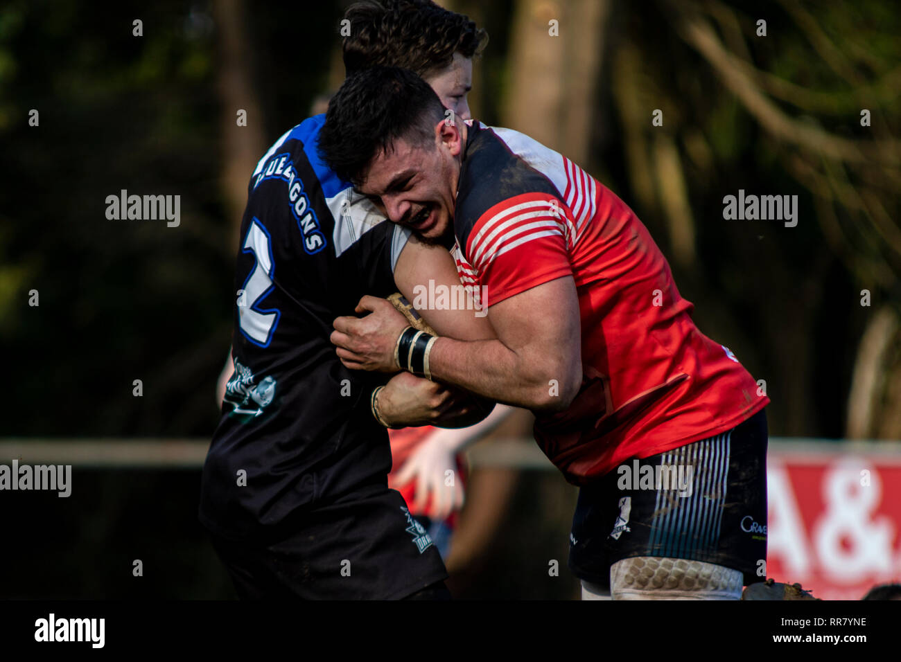 Cardiff draghi blu ospitare uno sviluppo del Galles occidentale Raiders XIII in una partita amichevole a Glamorgan Wanderers. Credito: Lewis Mitchell. Foto Stock