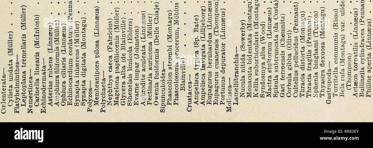 . Aberystwyth studi. / Dai Membri del Collegio dell'Università del Galles. . Si prega di notare che queste immagini vengono estratte dalla pagina sottoposta a scansione di immagini che possono essere state migliorate digitalmente per la leggibilità - Colorazione e aspetto di queste illustrazioni potrebbero non perfettamente assomigliano al lavoro originale. University College of Wales (Aberystwyth, Galles). Aberystwyth : University College of Wales Foto Stock