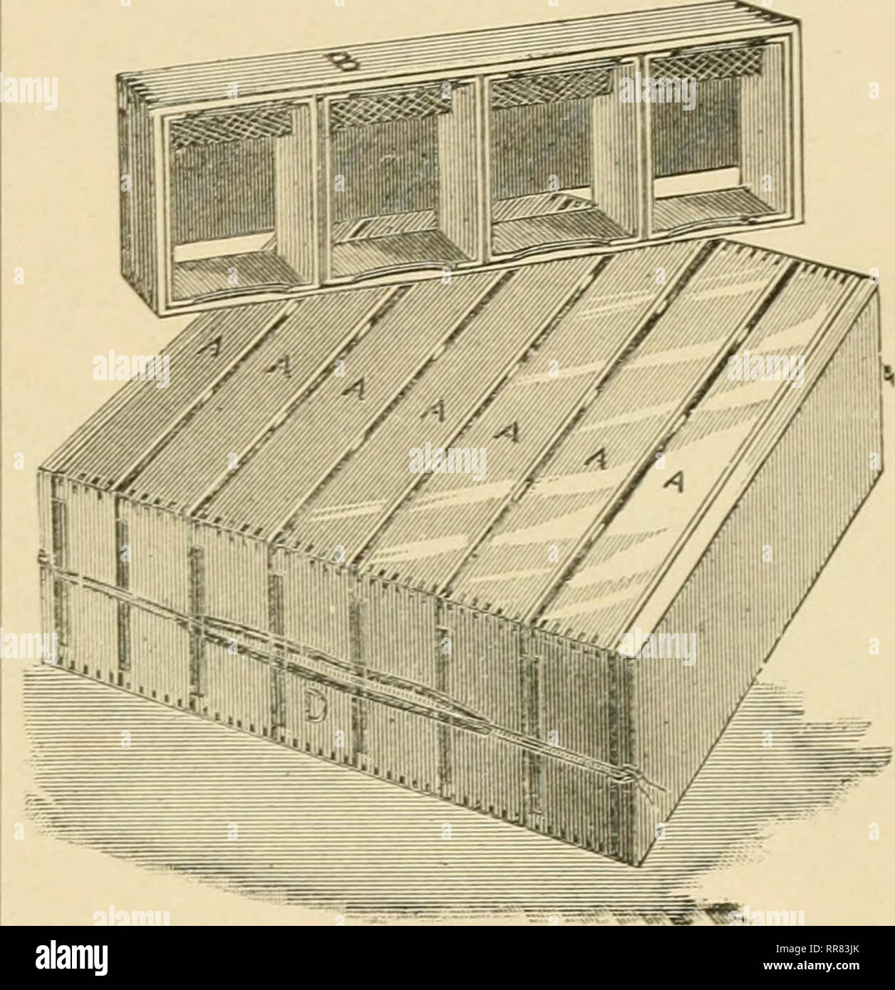 . L ABC e XYZ di bee cultura; un dell'enciclopedia di tutto ciò che attiene alla cura del miele-bee; le api, orticaria, miele, implementa il miele-piante, ecc. ... Le api. Fare doppio TIEK AVIDE TELAIO. essere impraticabile per mostrare tutte queste differiscono- ent dispositivi; ma per il piacere di illustrare alcuni principi che possono essere bene a citare alcuni di quelli che vengono utilizzati più largamente. Che cosa è stato conosciuto come il doppio-tier AAide frame è stato forse il primo dispositivo per tenere- ing sezioni nell'alveare. Questo è costituito da un telaio della stessa profondità e lunghezza della covata ordinario-telaio,ma di larghezza uguale a quella della sezione, come s Foto Stock