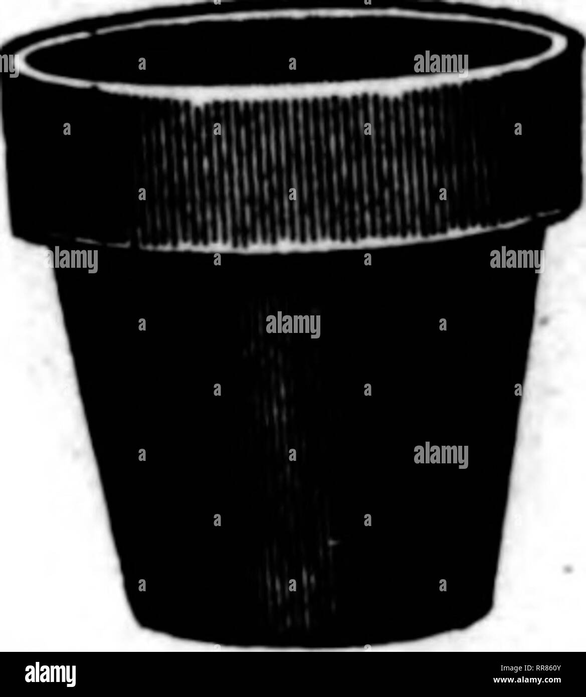 . Fioristi' review [microformati]. Floricoltura. f- OCTOBIB 26, 1922 i fioristi^ Review 119 per grappolo mamme sono pronti siamo li di spedizione in quantità tutto tutti Ss di piccole, medie e grandi dimensioni da $3.00 a $18.00 per 100 Pompons) ""ubel^al Bmches, 20c e 25c e le viole sono pronti a provare qualche ora Heather sarà pronto circa il 1 dicembre t Woodwardia felci, messicano Ivy, Adiantum, asparagi e tutto il resto del mercato occidentale offre. E. W. McLELLAN azienda coltivatori e Commercio all'ingrosso Floruta 451 Bush Street, San Francisco, CAUFORNIA crisantemi buona varietà commerciali $ 1,00 a $ 3,00 per dozzina di ENOM Foto Stock