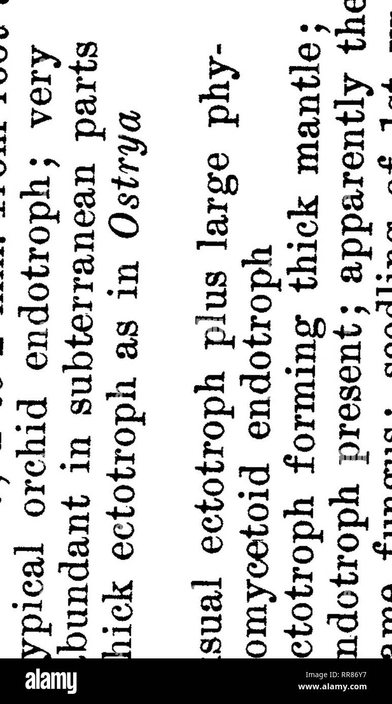 . Studi di storia naturale. Storia naturale; storia naturale. a oq O rH per oq o 1-i cT 05 cT oq io ho oo '3- " 05 •" •* •* * o Pj co O - £*&GT; - l2J 03  , .  ?* una g +" S'ol ft1^ tf ?tutti 2 ® S^ ° 8 io-io ft o © "23 Pi d o s i5 ft © g "H .ft *rt ,s g t§ Un ?? Ft ?- un " * O ft § ft © U t3 ho ?3 o o o B&GT; s § •§ t&GT; .s ® .r 8 ° g - g? :R b "^ £ 2 •* o .ft fc "3 £ ce S 3 ft,d CD a" un ©  i ** ss - S g-Suoo S pd d o © 03. © ft^ § 23£ £ 8 o CO1 o II o 2 .d ^ S g d © s-a I o H 0Q d o -ft +3 ^ 13 o . O o cq 00 t&GT; l&GT; fc t^^ alla 00^ : 'ft ft o *3S +3 o O "H © • "&GT; d 05 Foto Stock
