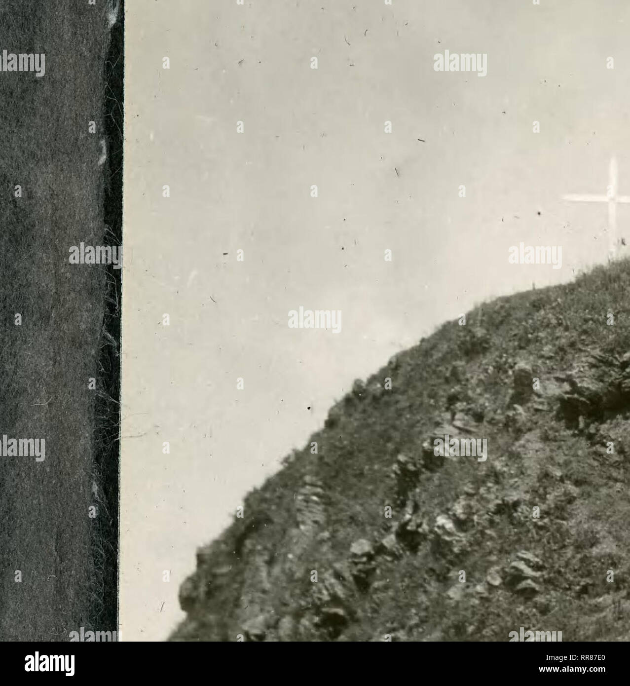 . #1757-#1975, Maria Agnes Chase spedizione in Brasile, 1924-1925. La botanica; i botanici; graminacee. Panicm polychaettim (Agnes Chase 9432) Yicosa, PGnnisetiini purpure-um, piantato in luglio 4, 1924 Vi 9 OSE • exp, plotsJ. fg^S kelin?? Minutiflora in fiore. Giugno 24, 19£5- Volun- Uu^j di sterzata- tre anni prima di questo groxmd oovered con ^^^^eed^^nc^Tusi^^jj^jj^^l^^^^^^^^^^^^^. Si prega di notare che queste immagini vengono estratte dalla pagina sottoposta a scansione di immagini che possono essere state migliorate digitalmente per la leggibilità - Colorazione e aspetto di queste illustrazioni potrebbero non perfettamente assomigliano al lavoro originale. Hitchcock, A. Foto Stock