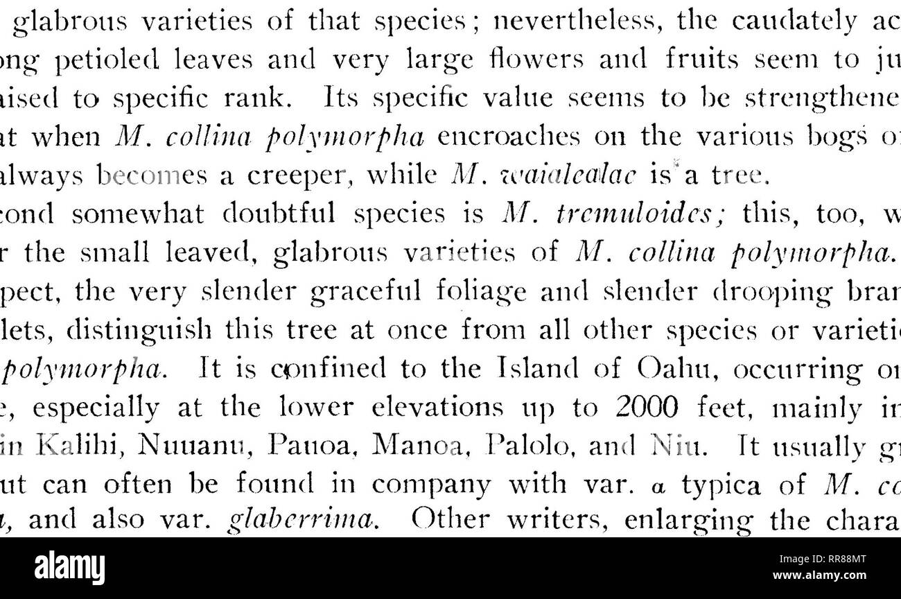 . Bollettino botanico. La botanica. Bancarella pura di Metrosideros col n.a. poli- morpha var. incana lungo la strada per il vulcano Kilauea. Cibotium Menziesii e C. Chamissoi formano il sottobosco principale. Metrosideros collina polymorpha var. incana vita di partenza nelle fessure del solido (pahoehoe) liscio pavimento di lava del cratere Keanakakoi alle Hawaii.. Metrosideros collina polymorpha var. incana crescente sul 1823 aa irregolare il flusso di lava lungo la strada UAE, Hawaii.. Si prega di notare che queste immagini vengono estratte dalla pagina sottoposta a scansione di immagini che possono essere state migliorate digitalmente per la leggibilità - colorazione e appea Foto Stock