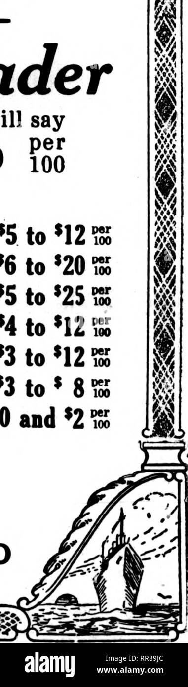 . Fioristi' review [microformati]. Floricoltura. RANDAU PER LE ROSE PREMIER - Leader TAe questi sono davvero meravigliosamente bene per la stagione-vi dirà che non avete mai maneggiato ita nf *.^ ^OA aa P®** rose meglio a questa data 5^0.00 per l^ZU.VO 100 Doppia bianca Killaraey , rose bianche non sono abbondante su questo mercato, ma Randall ha una fornitura giornaliera o, a b COLUMBIA ^^'u^?"^'*.:i*^"*"f.".°:"f '6 all'20 p"r 100 per 100 Francesco SCOTr chiave' ^^ryTn.rtS^^.!!''r. *5 per '25 $Q per il mio MARYLAND " 3 a CRUSADER "6 a "20 PHANTOM 100 per 100 un nuovo, rame rosa gialla a tutti piace DUNLOP H a M2 B Foto Stock