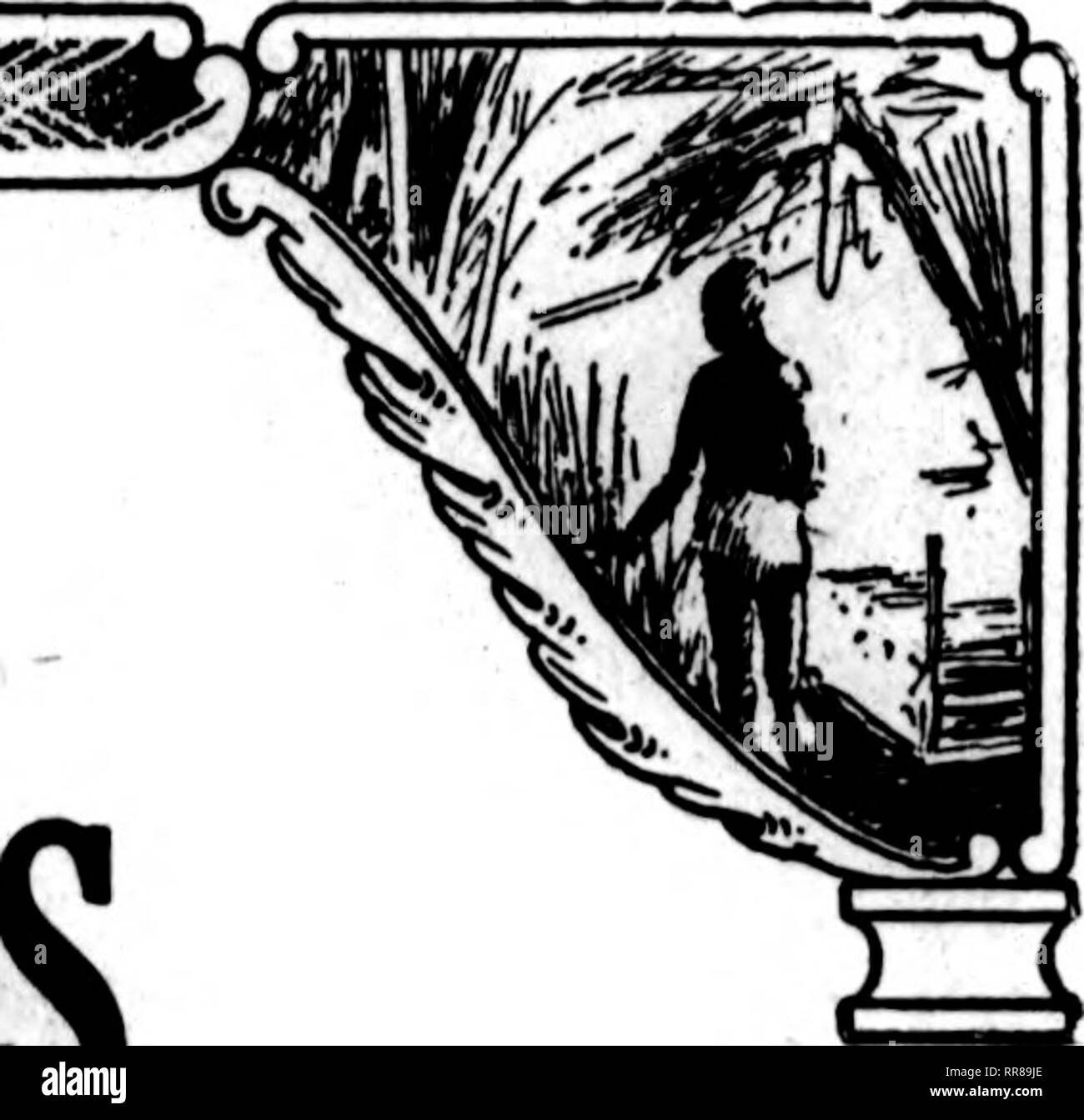 . Fioristi' review [microformati]. Floricoltura. RANDAU PER LE ROSE PREMIER - Leader TAe questi sono davvero meravigliosamente bene per la stagione-vi dirà che non avete mai maneggiato ita nf *.^ ^OA aa P®** rose meglio a questa data 5^0.00 per l^ZU.VO 100 Doppia bianca Killaraey , rose bianche non sono abbondante su questo mercato, ma Randall ha una fornitura giornaliera o, a b COLUMBIA ^^'u^?"^'*.:i*^"*"f.".°:"f '6 all'20 p"r 100 per 100 Francesco SCOTr chiave' ^^ryTn.rtS^^.!!''r. *5 per '25 $Q per il mio MARYLAND " 3 a CRUSADER "6 a "20 PHANTOM 100 per 100 un nuovo, rame rosa gialla a tutti piace DUNLOP H a M2 B Foto Stock