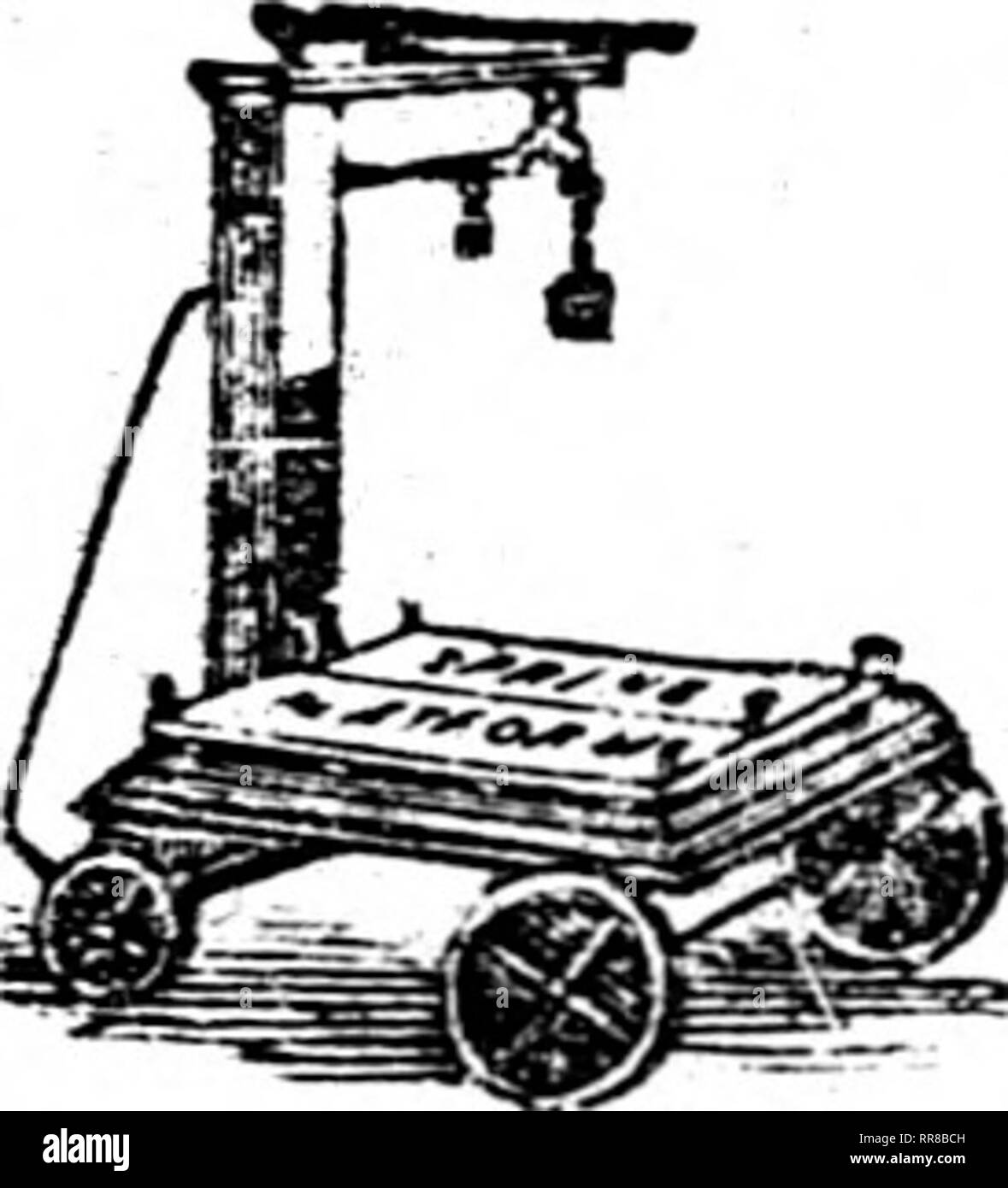 . L'Illinois agricoltore [microformati] : un agricola mensile ufficiale, dedicato agli interessi dell'agricoltore, il giardiniere, coltivatore di frutta e stock raiser ... Agricoltura; Agricoltura -- Illinois. 1861. L'ILLINOIS FAKMER. 315 pioggia. Quando, respirazione Melissa O'er gregge e piega bassa venti portare dolcezza da Boutb, quando ftii' w nt^-r toccato e vecchi ottobre morde in bocca- sto bfside la mia casetta porta, e vedere sopra di me ami prima. Attraverso i cieli anrt o'e- la pianura, il sbadows ol la pioggia. Li ho guardati soffiare dalla collina di h'll, O'er lonely ruscelli e windv downs, da thrope a thrope Foto Stock