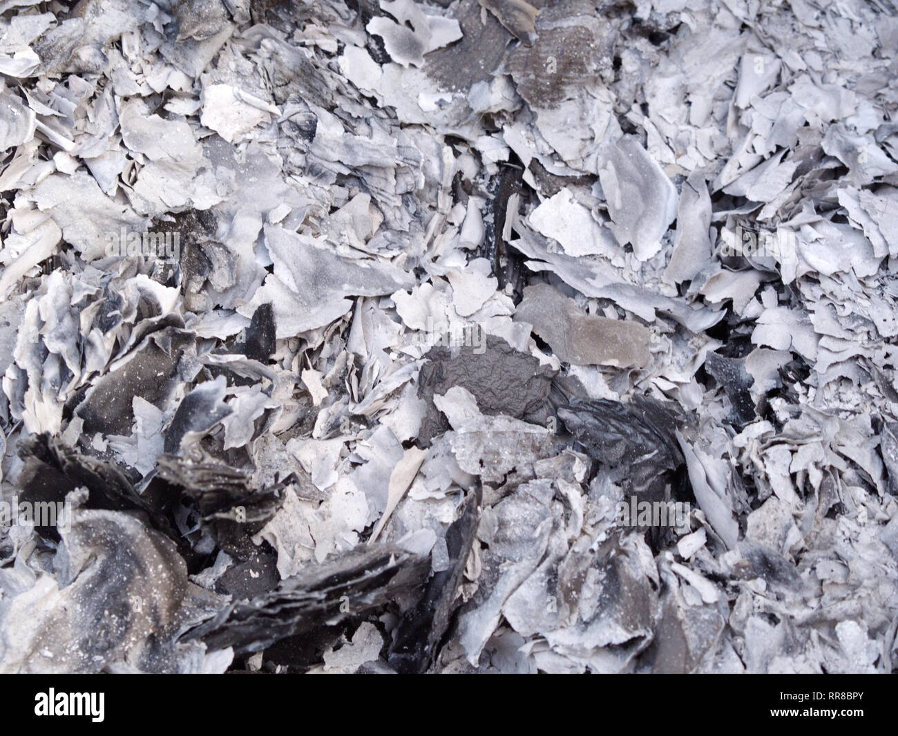 Ceneri e scorie da ghost denaro cartaceo a bruciare per antenato dell'Anno Nuovo Cinese Foto Stock