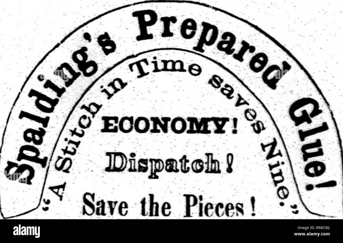 . L'Illinois agricoltore [microformati] : un agricola mensile ufficiale, dedicato agli interessi dell'agricoltore, il giardiniere, coltivatore di frutta e stock raiser ... Agricoltura; Agricoltura -- Illinois. ST. LOUIS OOLLBaE, SPENCERIAN ISCRITTO AL REPARTO E Stewards MatTiematicaZ Istituto. ; Si trova in St. Louis, Mo. Comer quarta, vite e San Carlo strade, oltre tJbsdell, Pierson &AMP; Co. di merci secche House. Gli altri collegi che compongono la catena si trovano a New York, Philadelphia, Albany, Buffalo, Cleveland, Detroit e Chicago. ^^^^Borse di studio buona in tfie otto collegi. OP SCHEDA DI RIFERIMENTO: D.A. Foto Stock