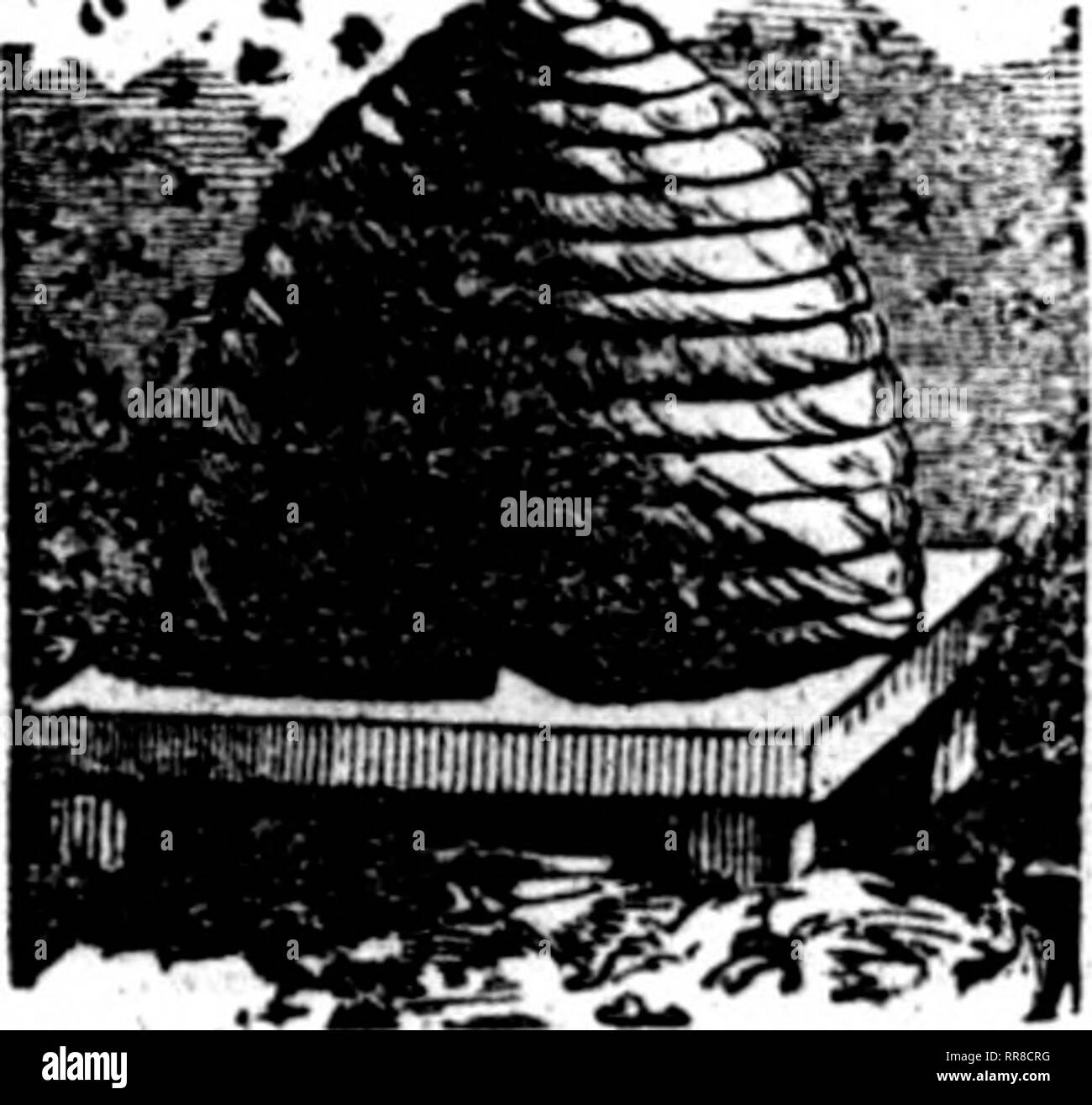 . L'Illinois agricoltore [microformati] : un agricola mensile ufficiale, dedicato agli interessi dell'agricoltore, il giardiniere, coltivatore di frutta e stock raiser ... Agricoltura; Agricoltura -- Illinois. 68 L'AGRICOLTORE ILLIlSrOIS. Il principe &AMP; CO. MIGLIORATA DEL MELODEON BREVETTO. Commercio all'ingrosso Depot, 87 Fulton Street a New York e 110 Lake Street, ChicagOt IlL 'OV^io combinando tutti i loro ultimi Imprdv^ientg'^il rigonfiamento Mfivided, organo, Jflelodeon, 4*c. Il rigonfiamento diviso può essere ottenuta solo in MELODEON DELLA NOSTRA PRODUZIONE. -•-?- La più antica istituzione negli Stati Uniti, impiegando duecento uomini e finitura Foto Stock