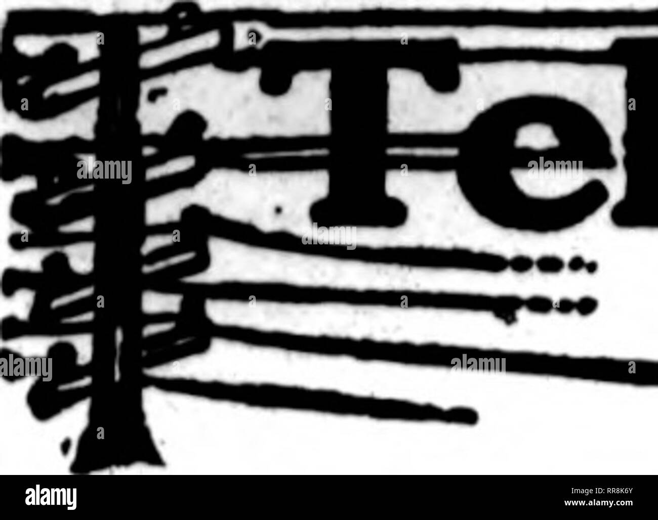 . Fioristi' review [microformati]. Floricoltura. Giugno 29, 1922 i fioristi^ Rassegna 89. ^^e floriata cui catds appaiono sulla pa^es che porta questo tallone, sono preparati per compilare gli ordini """?"" da altri fioristi per il recapito locale sulla base usuale. "^ '. Si prega di notare che queste immagini vengono estratte dalla pagina sottoposta a scansione di immagini che possono essere state migliorate digitalmente per la leggibilità - Colorazione e aspetto di queste illustrazioni potrebbero non perfettamente assomigliano al lavoro originale. Chicago : fioristi' Pub. Co Foto Stock