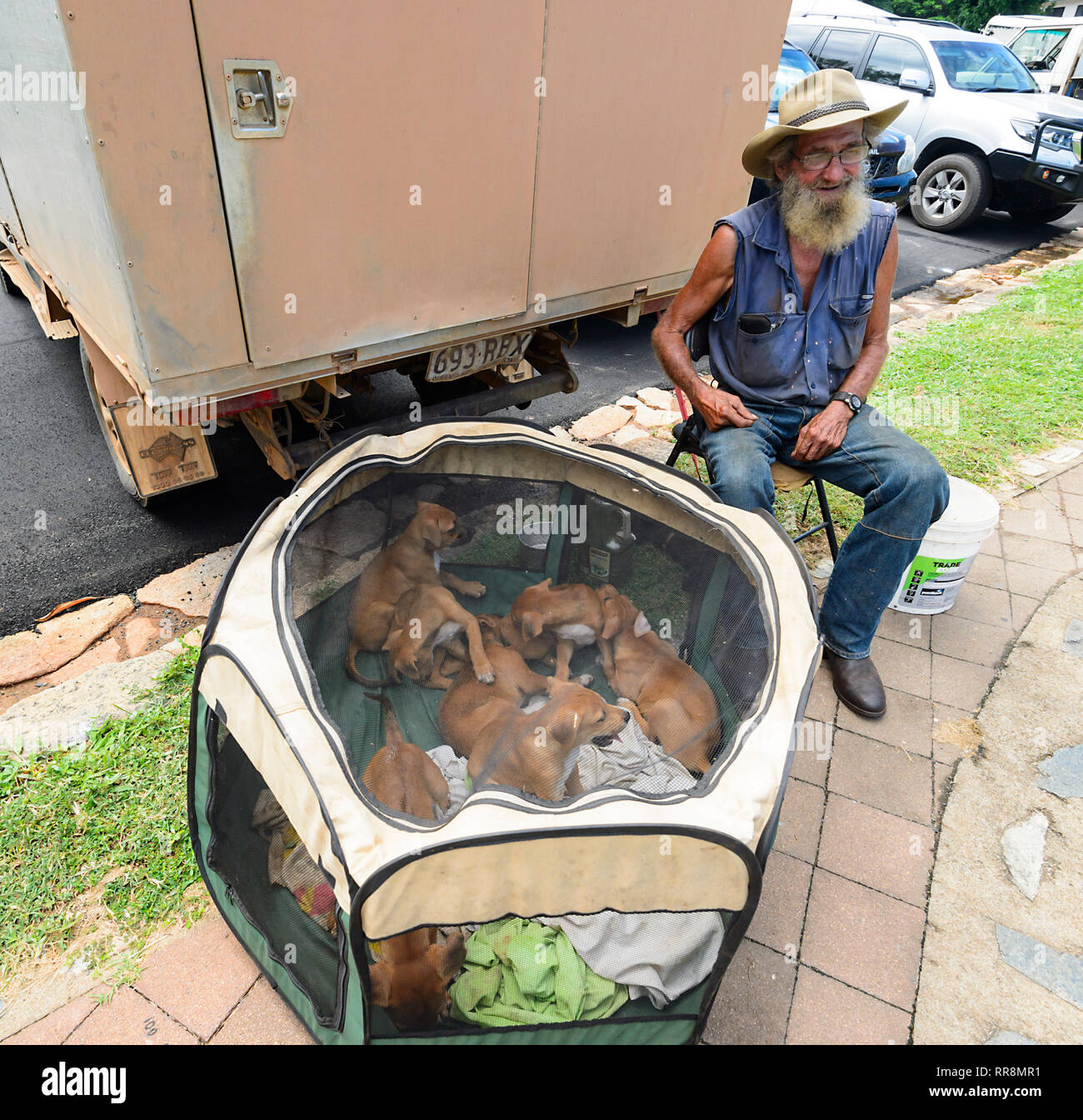 Uomo anziano vendono cuccioli a Cooktown, sui mercati del Nord del Queensland, QLD, FNQ, Australia Foto Stock