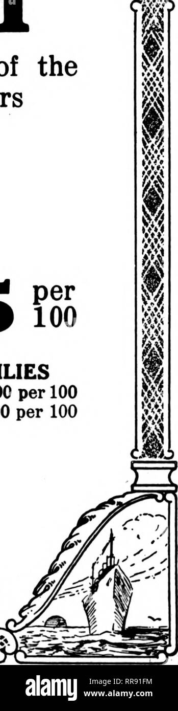 . Fioristi' review [microformati]. Floricoltura. GLADIOLI un sacco di belle, fresco tagliato, coltivati localmente i fiori dei migliori colori e varietà. Richiediamo i vostri ordini di $ 3,00 e $ 4,00 per 100 $20.00 per 1000 500 al "Tasso lOOO QGANTEUM GIGLI, *1S per 100 Valle $6.00 per 100 LARKSPUR annuale di tutti i colori, 35c a 50c mazzetto RUBRUM GIGLI lunghi steli, $10 00 per 100 steli corti, 5,00 a 100 felci, $2.00 per 1000 Non mamma al"a-wirm o telefono a tu per qualsiasi cosa avete bisogno di A. L. Randall Azienda 180 N. Wabash Avenue Chicago ^1^. p. m. ora legale Lunedì, Agosto 14. Per ulteriori informazioni circa il t.r.a. Foto Stock