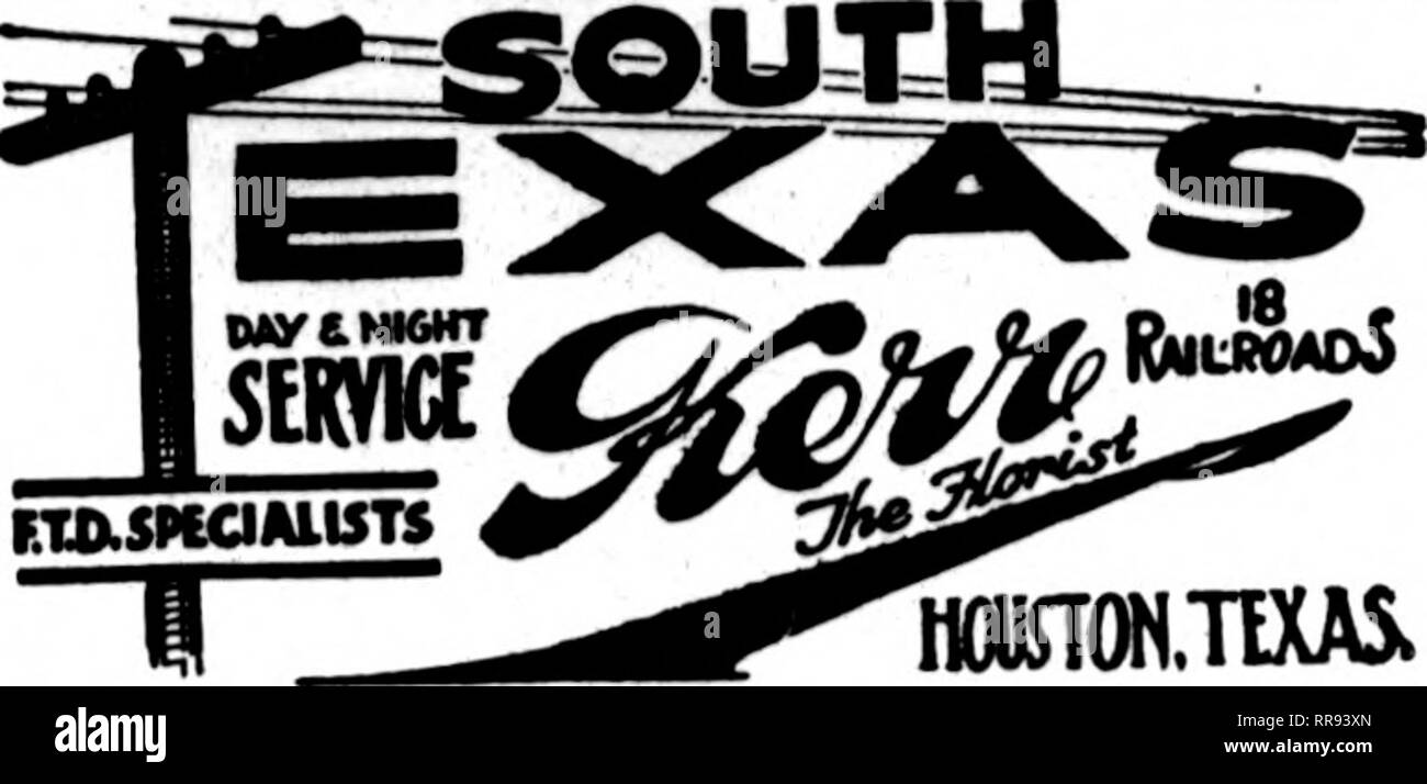 . Fioristi' review [microformati]. Floricoltura. Gli Stati F. T. D. UNIONTOWN, PA. STENSON &AMP; McGRAIL, "?KS£io!" 11 Msrgantown Street FRESH HOME-coltivate fiori recisi e piante di tutte le volte che ho Williamsport, Pa. W. J. EVENDENTS figli i principali elementi di fioristi telegrafo associazione consegna J. V. STRATO ERIE, PA. Scrivere, telefono o fili^phKfr; Erie, Pa. Charles G. Offerle 2408 Poplar Street membri F. T. D. il Libano, PA. J. P. Figli VAVEOUS ordini per '•entral Penna. Gestito con promptneso New Kensington, PA. GEORGE BROS. &Amp; CO. 813 Fifth Avenue TITUSVILLE, PA. WM. A. MURDOCH ^^^f"g nuovo Foto Stock