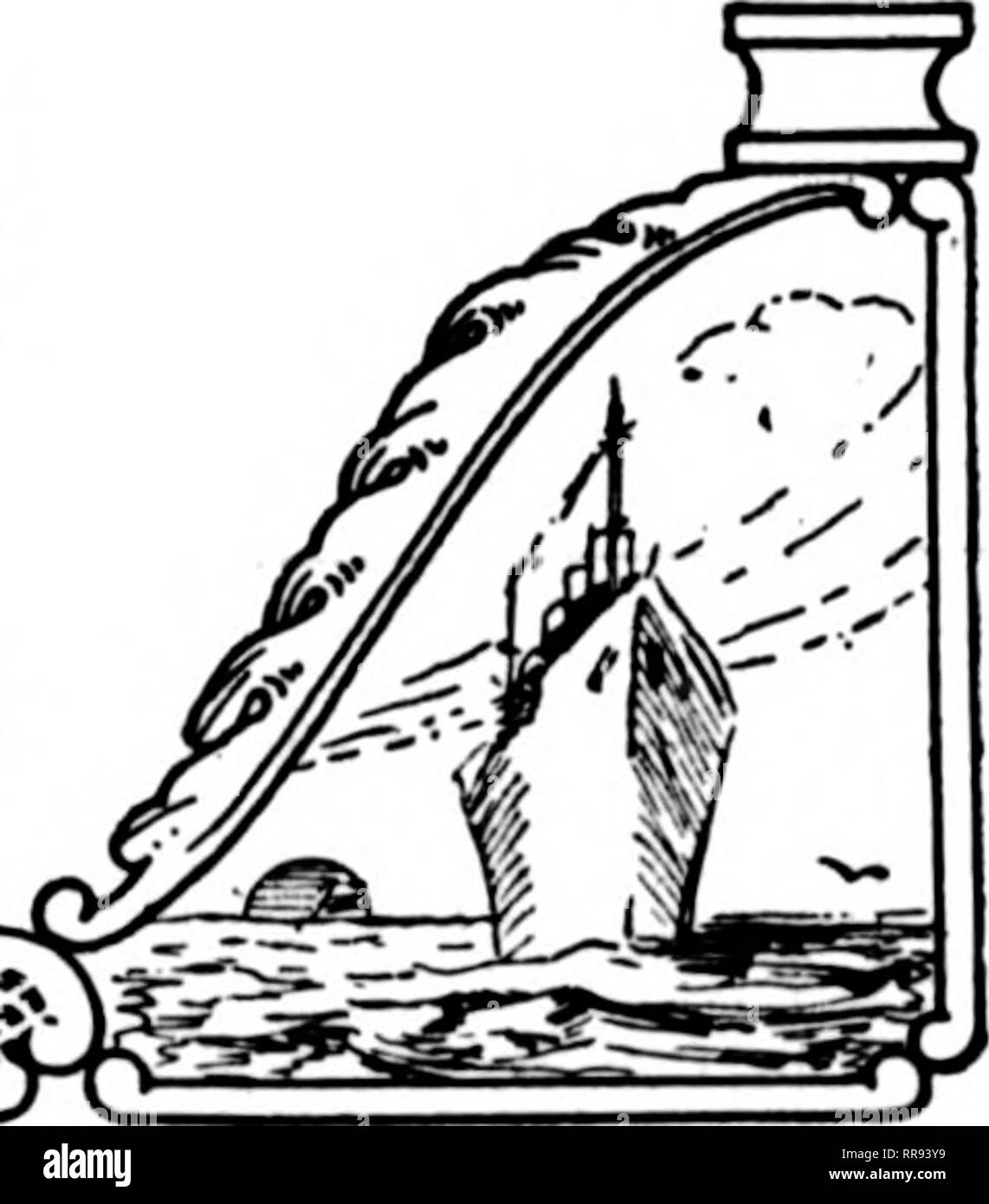 . Fioristi' review [microformati]. Floricoltura. saldamente a 25 centesimi per la migliore qualità e poco niente, anche il sliortest, venduto per meno di 18 centesimi per un fiore. La più lunga gigli venduti meglio. Vi sono stati, come di consueto, alcuni arrivi in ritardo che non è chiara. Ci sono stati abbastanza gigli di Pasqua in modo che la Callas non erano nella richiesta e molti di questi sono stati riportati. Lilla meridionale è arrivato giusto in tempo per aiutare la fornitura di Pasqua. Valley, che erano state accumulate, girato scarse e alcune vecchie scorte doveva essere prelevato e utilizzato perché non vi era nessun altro. Viole vennero alla luce supplj', come essi sono stati Foto Stock