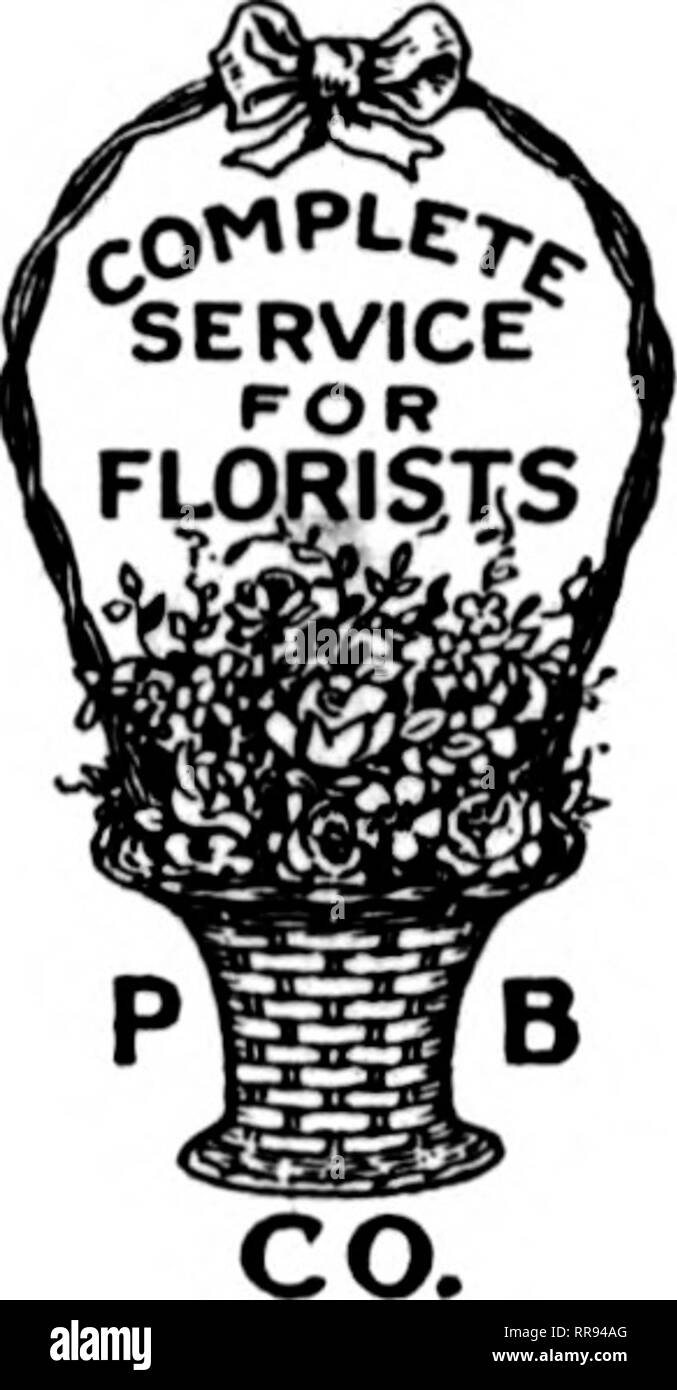 . Fioristi' review [microformati]. Floricoltura. m s Servizio completo per fioristi PREZZO SPECIALE rOEHLNANN BRMD PRIMA QUALITA FOGLIE DI MAGNOLIA. Per cartone $ 1,25 per ogni 10 cartoni 1.20 per ogni 100 lb. caso 17.50 ogni marrone - verde - viola vendita speciale-Fern si erge questi sono valori di meraviglioso. Avorio, verde e oro, blu e oro, smerigliati, Marrone. 30 pollici, Fernery soltanto. Auto-Liner di irrigazione $ 7,50 ogni 36-iDch. Solo Fernery, Pianura Liner 9,50 ogni 30 pollici, Fernery con Bird Catfe 20.00 ogni 3 ] pollici, Fernery con Bird Cage e acquario ' 25.00 ciascuno qualcosa di nuovo: "Ditelo con i fiori di cera" Foto Stock