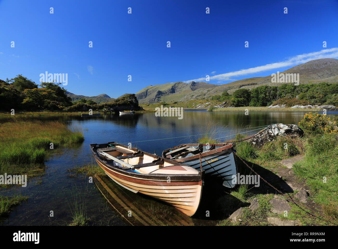 Piccole barche sul lago che giace sul lato lago Superiore, Lago, Parco nazionale di Killarney, nella contea di Kerry, Irlanda Foto Stock