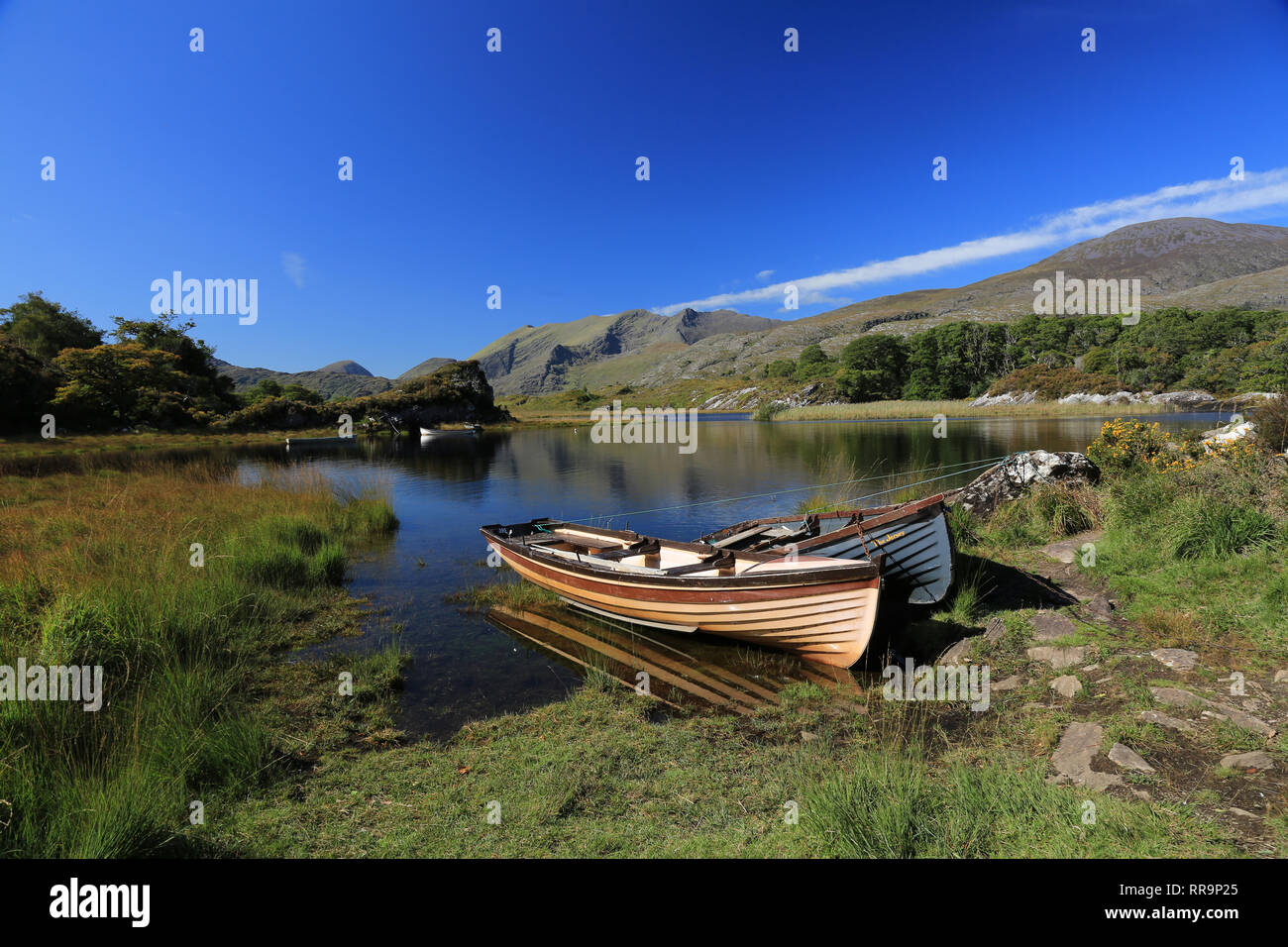 Piccole barche sul lago che giace sul lato lago Superiore, Lago, Parco nazionale di Killarney, nella contea di Kerry, Irlanda Foto Stock