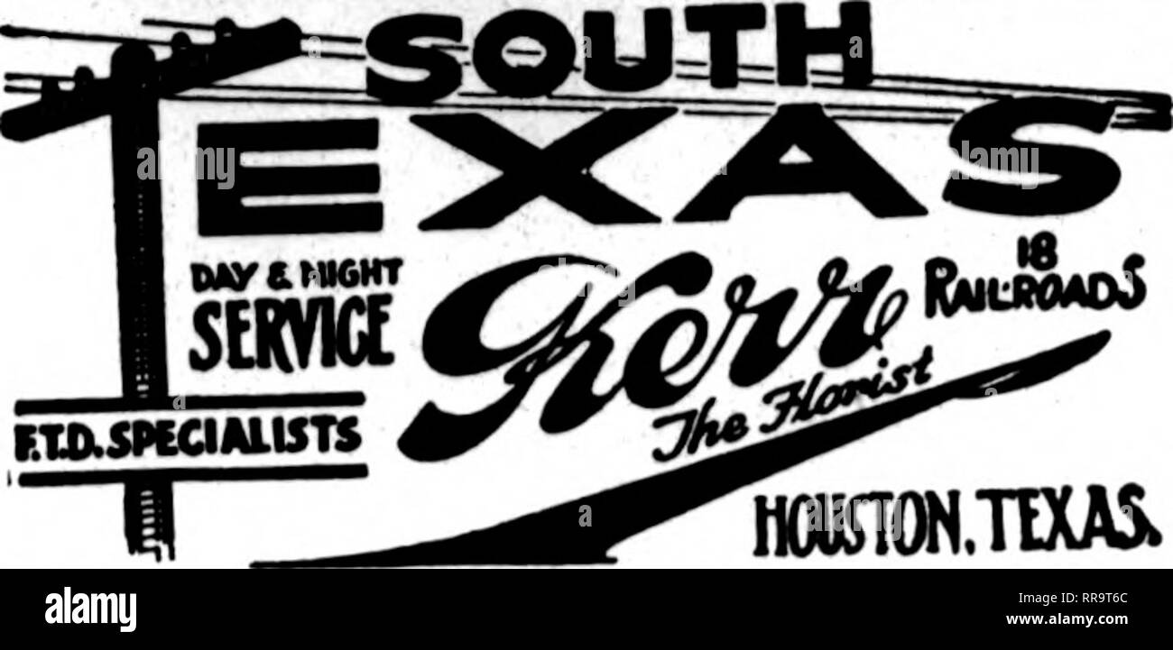 . Fioristi' review [microformati]. Floricoltura. Gli Stati F. T. D. UNIONTOWN, PA. STENSON &AMP; McGRAIL, ?^tSJl" 11 Morgantown Street FRESH HOME-coltivate fiori recisi e piante a tutti i tempi Williamsport, Pa. W. J. EVENDEN I FIGLI I principali elementi di fioristi telegrafo associazione consegna J. V. STRATO ERIE, PA. Scrivere, telefono o fili^phDeuvi?; Erie, Pa. Charles G. Offerle 2408 Poplar Street il Libano, PA. ^f t!^S J. F. VAVROUS figli ordini per '•entral Penna. Gestito con promptneas New Kensington, PA. GEORGE BROS. &Amp; CO. 813 Fifth Avenue TITUSVILLE, PA. WM. A. MURDOCH ^^"^"^g nuovo Kensing Foto Stock