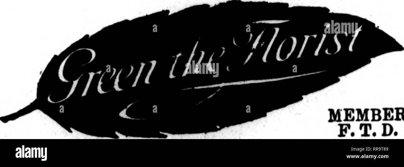 . Fioristi' review [microformati]. Floricoltura. SAN ANTONIO, TEXAS AVENUE C a 8TH STREET retail più grande negozio di fiori nel sud-ovest TELEGRAPH ordini di una specialità. Gli Stati F. T. D. UNIONTOWN, PA. STENSON &AMP; McGRAIL, ?^tSJl" 11 Morgantown Street FRESH HOME-coltivate fiori recisi e piante a tutti i tempi Williamsport, Pa. W. J. EVENDEN I FIGLI I principali elementi di fioristi telegrafo associazione consegna J. V. STRATO ERIE, PA. Scrivere, telefono o fili^phDeuvi?; Erie, Pa. Charles G. Offerle 2408 Poplar Street il Libano, PA. ^f t!^S J. F. VAVROUS figli ordini per '•entral Penna. Gestito con promptneas nuovo K Foto Stock