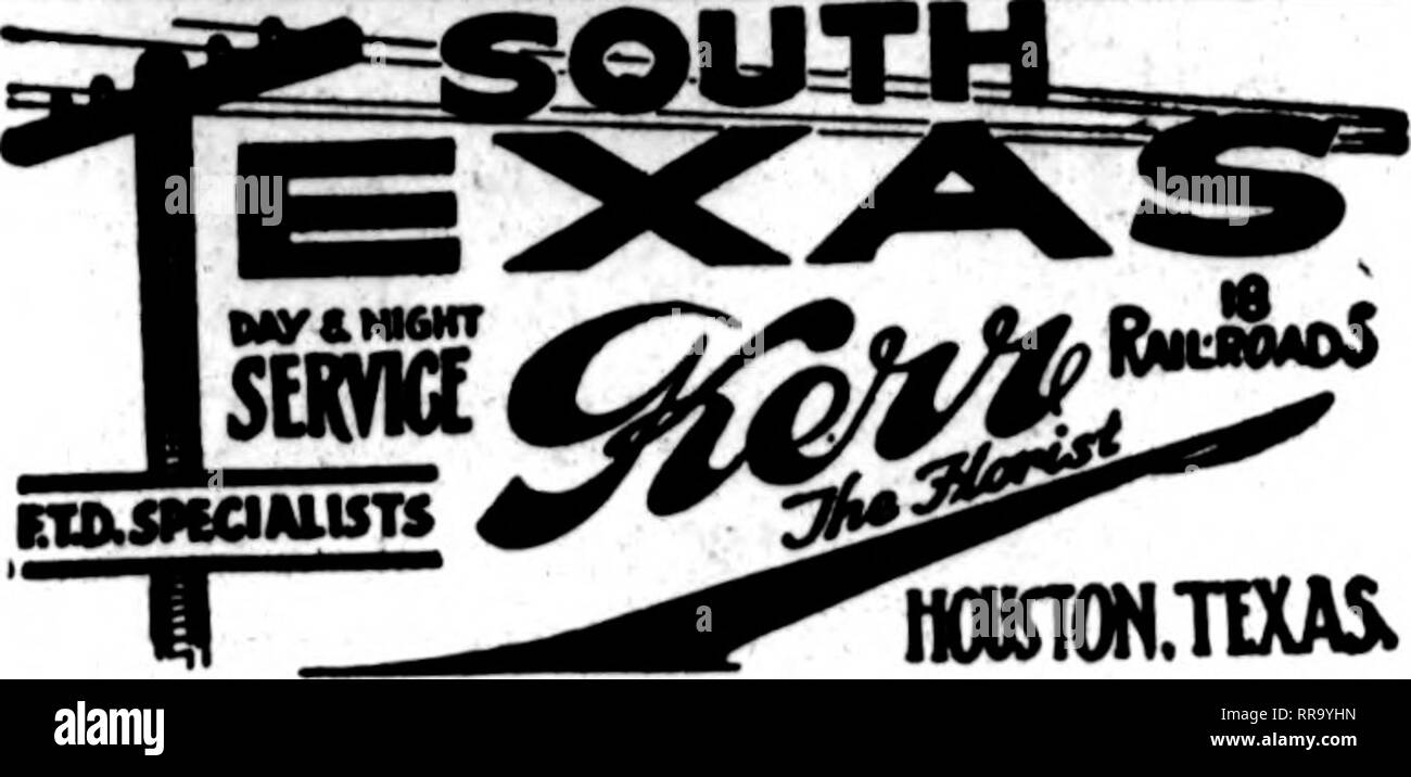 . Fioristi' review [microformati]. Floricoltura. Gli Stati P. T. D. UNIONTOWN, PA. STENSON &AMP; McGRAlL, "^iai!^ U Morsantown Street FRXSK casa coltivati fiori recisi e piante di aU volte Williamsport, Pa. W. J. EVENDEhTS figli i principali elementi di fioristi telegrafo associazione consegna J. V. STRATO ERIE, PA. Wnte, telefono o filo Teic"rapb Deuverr P • p Charles COfferle EiliC^ la. 2408 Poplar Street membri F. T. D. il Libano, PA. J. F. VAVROUS figli ordini per r"iitral Penna. Gestito con promptneM New Kensington, PA. GEORGE BROS. &Amp; CO. 818 Fifth Avenue TITUSVILLE, PA. WM. A. MURDOCH ^g'g nuovo Kens Foto Stock