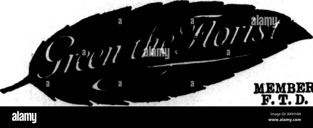 . Fioristi' review [microformati]. Floricoltura. SAN ANTONIO, TEXAS AVENUE C a 8TH STREET retail più grande negozio di fiori nel sud-ovest TELEGRAPH ordini di una specialità. Gli Stati P. T. D. UNIONTOWN, PA. STENSON &AMP; McGRAlL, "^iai!^ U Morsantown Street FRXSK casa coltivati fiori recisi e piante di aU volte Williamsport, Pa. W. J. EVENDEhTS figli i principali elementi di fioristi telegrafo associazione consegna J. V. STRATO ERIE, PA. Wnte, telefono o filo Teic"rapb Deuverr P • p Charles COfferle EiliC^ la. 2408 Poplar Street membri F. T. D. il Libano, PA. J. F. VAVROUS figli ordini per r"iitral Penna. gestite wit Foto Stock