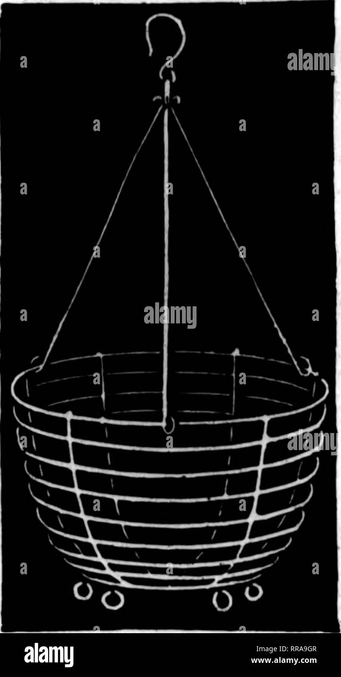 . Fioristi' review [microformati]. Floricoltura. 1,32 fioristi^ Rassegna Mat 18. 1922. Nei cestini appesi, - - - - 5^^* O O *^^ forte, durevole, ben fatto ^^ SIm PnrlOO PcrdMb Verdi s pollici $2.00 $15.00 foglio 10 pollici 2.25 18.00 MoQQ ^2 pollici 2.50 20.00 1¥10SS 14 pollici 3.00 25.00 Per balla, $1.35 16 pollici 4.25 35.00 10 balle, $12.50 18-inoh 6.00 45.00 BO di MM alM al tasso lOO Wm. Murphy Co., cincinMti,*b. Menzionare il ReTlew whwi ywi atto di citazione*. Li abbiamo! Vuoi tu! Extra molto fine di pugnale lungo le felci, $2.00 per 1000. Nessuno meglio. Bronzo e Qreen GALAX, $1.25 per 1000 strettamente Freech e Vo. Ho la SOA Foto Stock