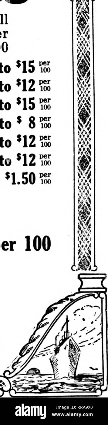 . Fioristi' review [microformati]. Floricoltura. 180 N. Wabash Ave. CHICAGO. FRNE ^ ftOMPANY 30 E. Randolph San WHOUSALI rLORISTS L D. PlMRe RuMph "578 CHICAGO offriamo una scelta e un'offerta abbondante di rose AESTRI VERDI Columbia Premier Russell Milady Sunburst Ofelia Brunner Butterfly bianco crociato di Killarney GLADIOLI Orchidee Gigli di Pasqua Calendula Larkspur Valley Gaillardias Gypsophila Galax Plumosus Smilax Coontie lascia felci messicano Adiantum Edera Sprengeri Bosso Mirto abbiamo sempre riempire gli ordini di spedizione a Chicago più basso dei prezzi di mercato. Si prega di notare che queste immagini vengono estratte dalla scansione Foto Stock